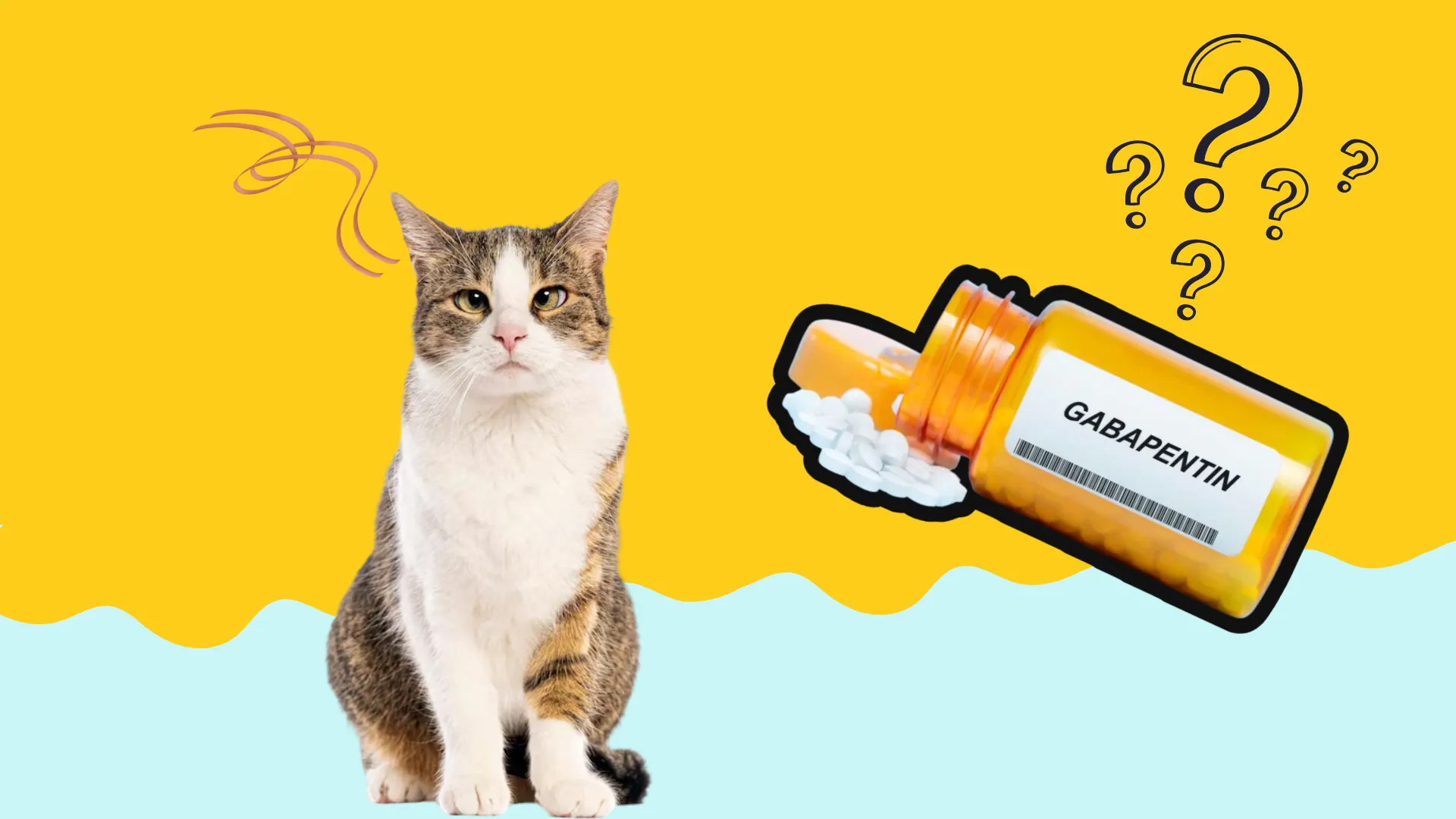 Curious cat beside gabapentin bottle illustration for cat anxiety and medication