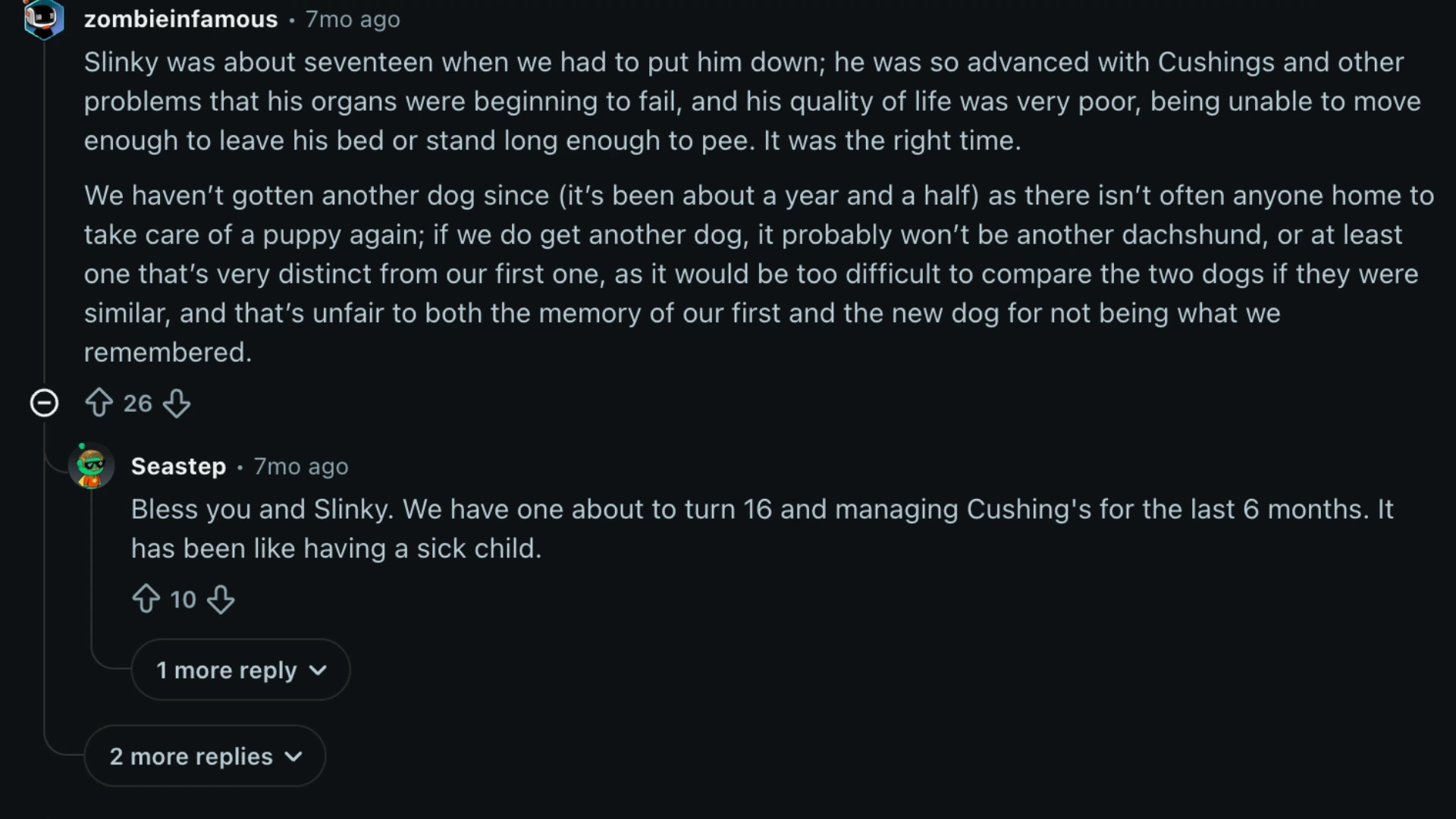 Reddit comments about dachshund lifespan, Cushing's disease, and aging doxie care