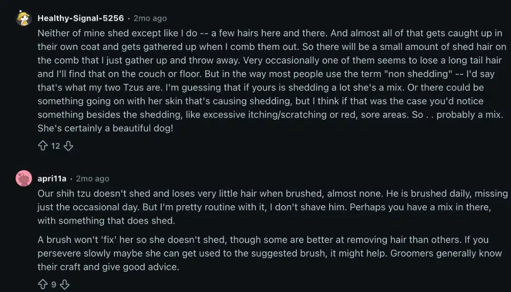 Reddit comments from Shih Tzu owners discussing low shedding, combing, brushing, grooming, and coat care tips