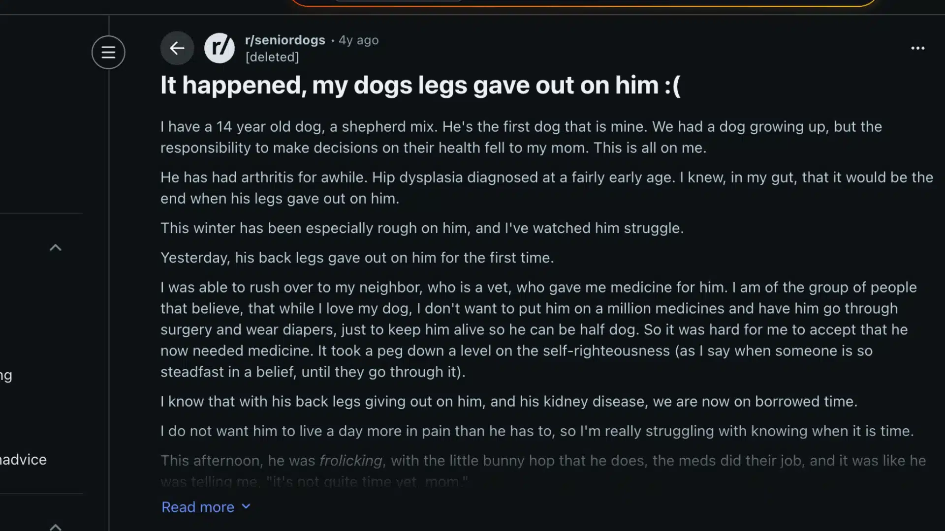 Reddit post discussing a senior dog’s back legs giving out due to arthritis and aging complications