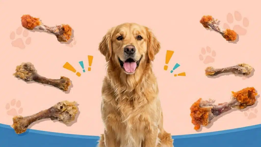A Golden Retriever sits smiling on a peach background surrounded by illustrated chicken bones