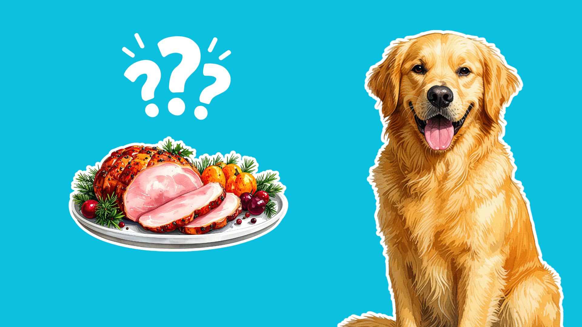 A happy Golden Retriever next to a plate of sliced ham with question marks on a blue background