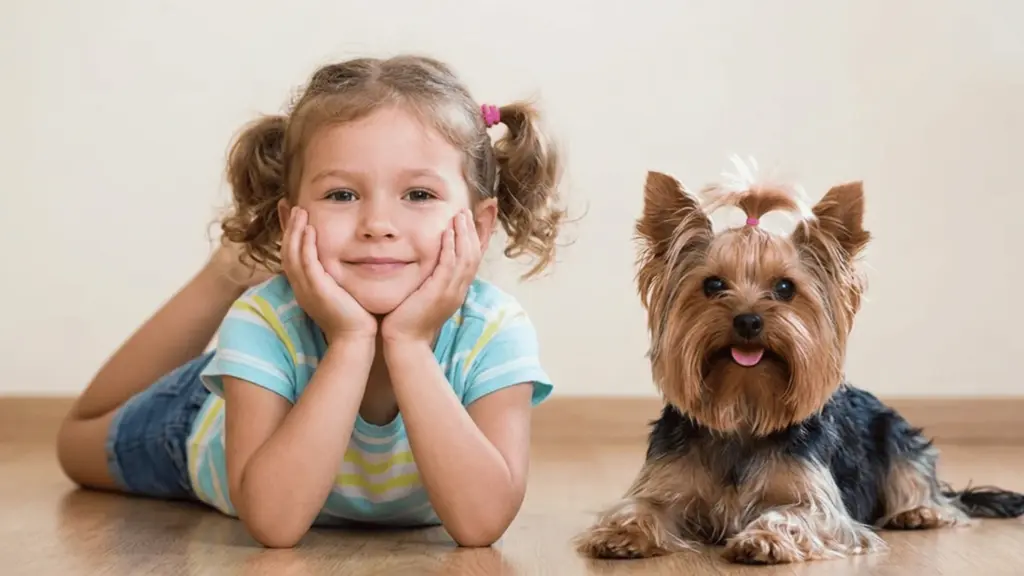 A young girl lying on her stomach with her chin in her hands next to a small Yorkshire Terrier on a wooden floor