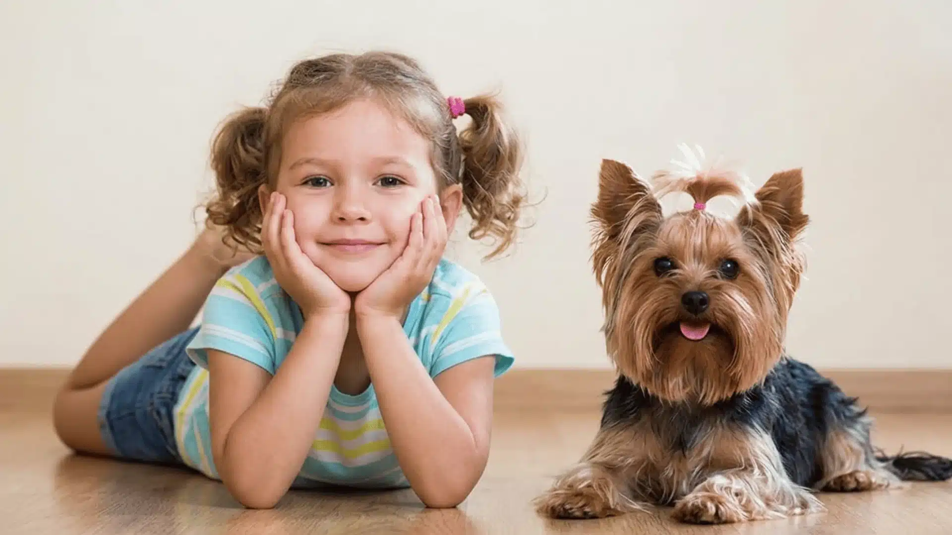 A young girl lying on her stomach with her chin in her hands next to a small Yorkshire Terrier on a wooden floor