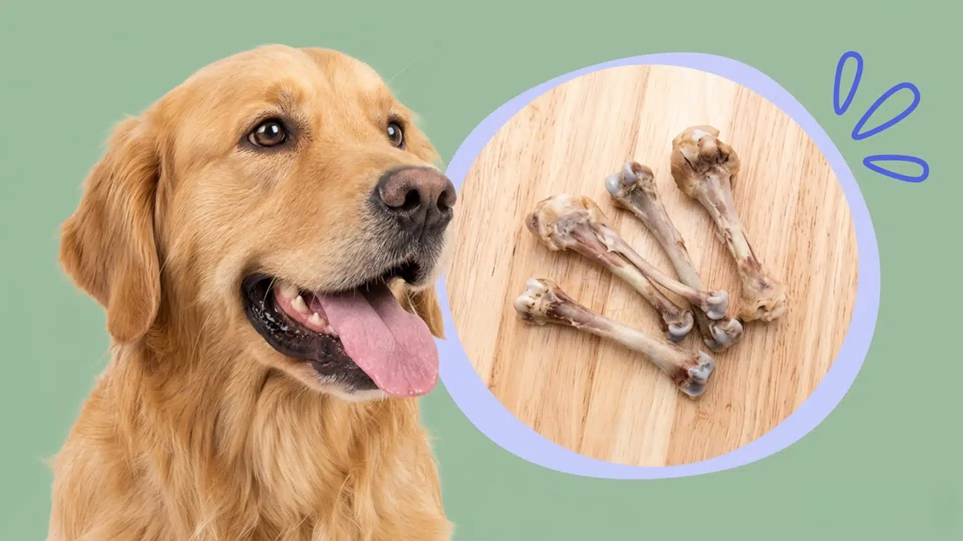 A Golden Retriever stands next to a circular graphic showing four chicken bones on a wooden background