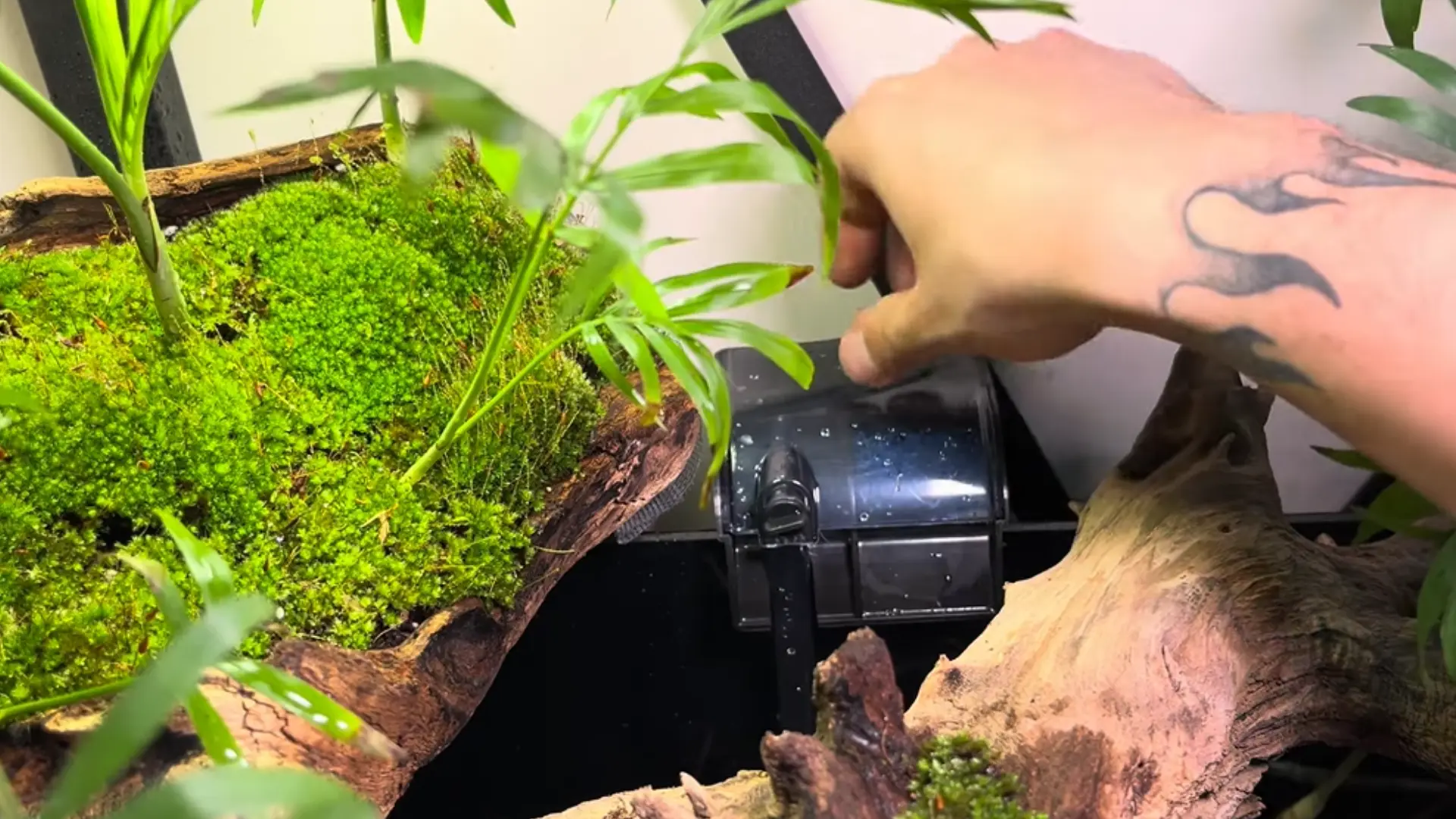 Aquarium filter is installed beside mossy driftwood and plants before filling the tank