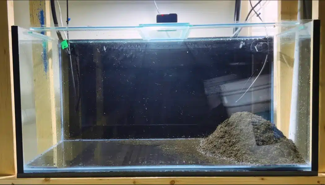 Aquarium with a mound of nutrient substrate added to the glass tank
