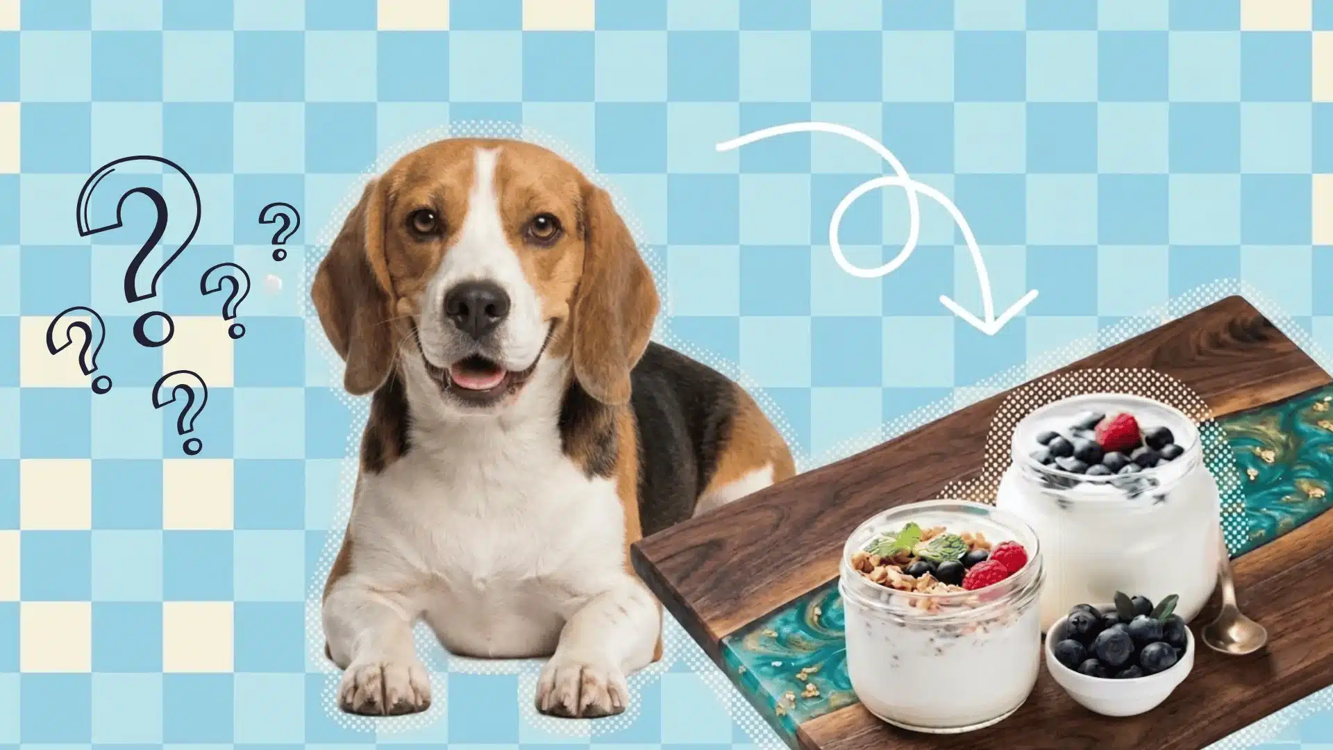Beagle looking at yogurt jars with question marks, showing curiosity about whether dogs can eat yogurt safely