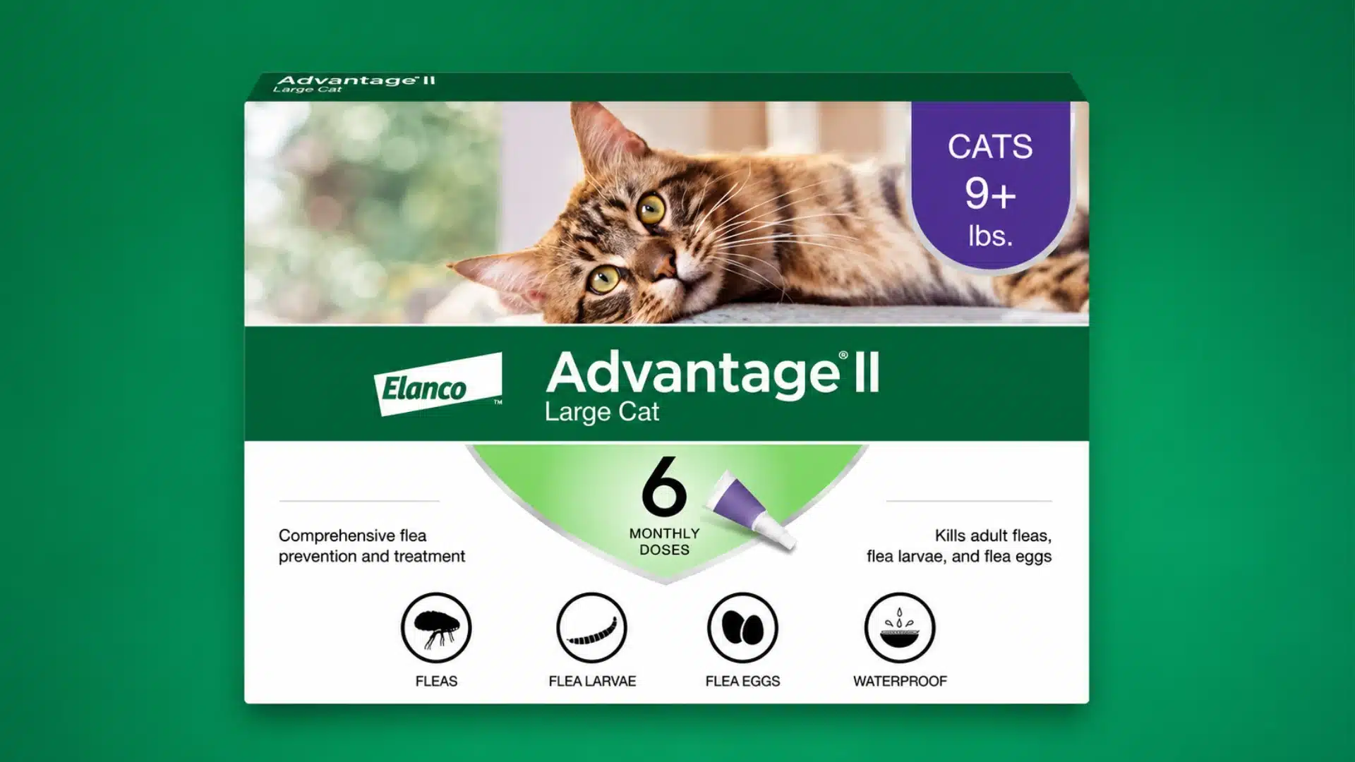 Box of Elanco Advantage II flea treatment for large cats weighing 9+ lbs, featuring a picture of a tabby cat