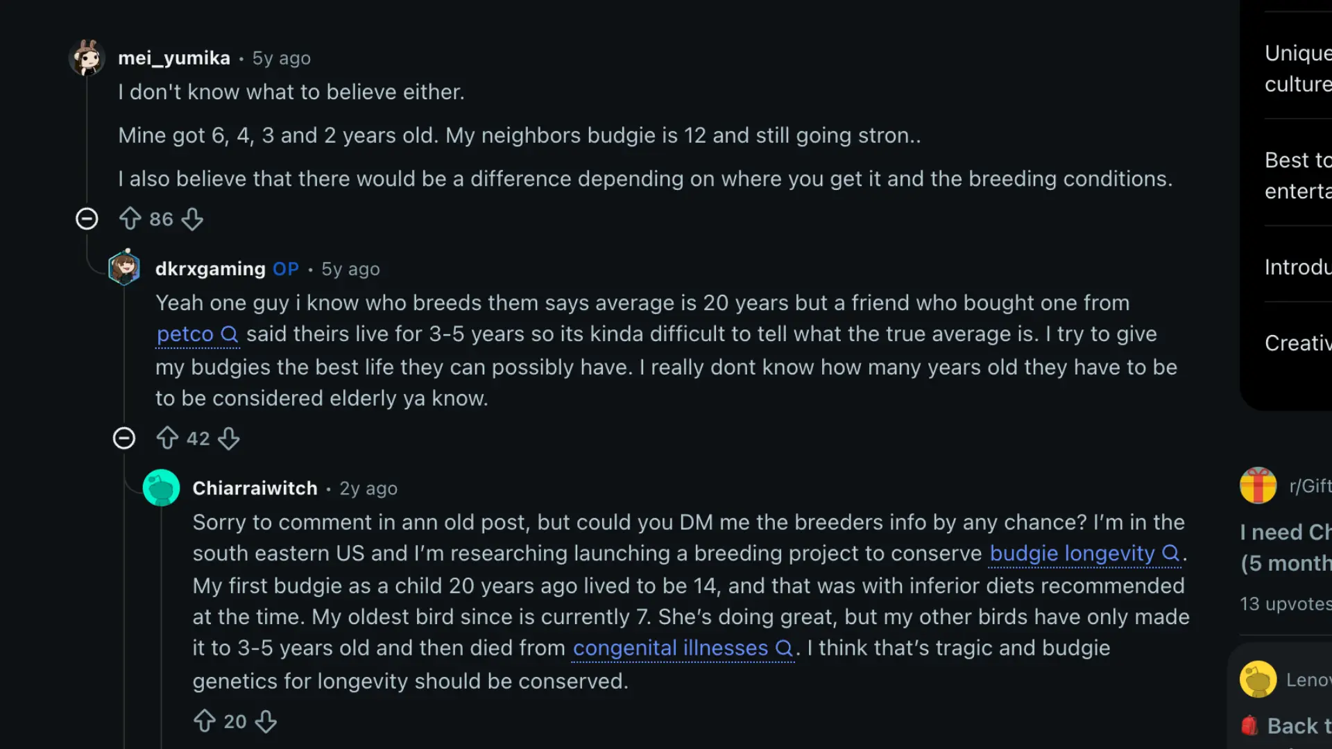 Community discussion about budgie lifespans