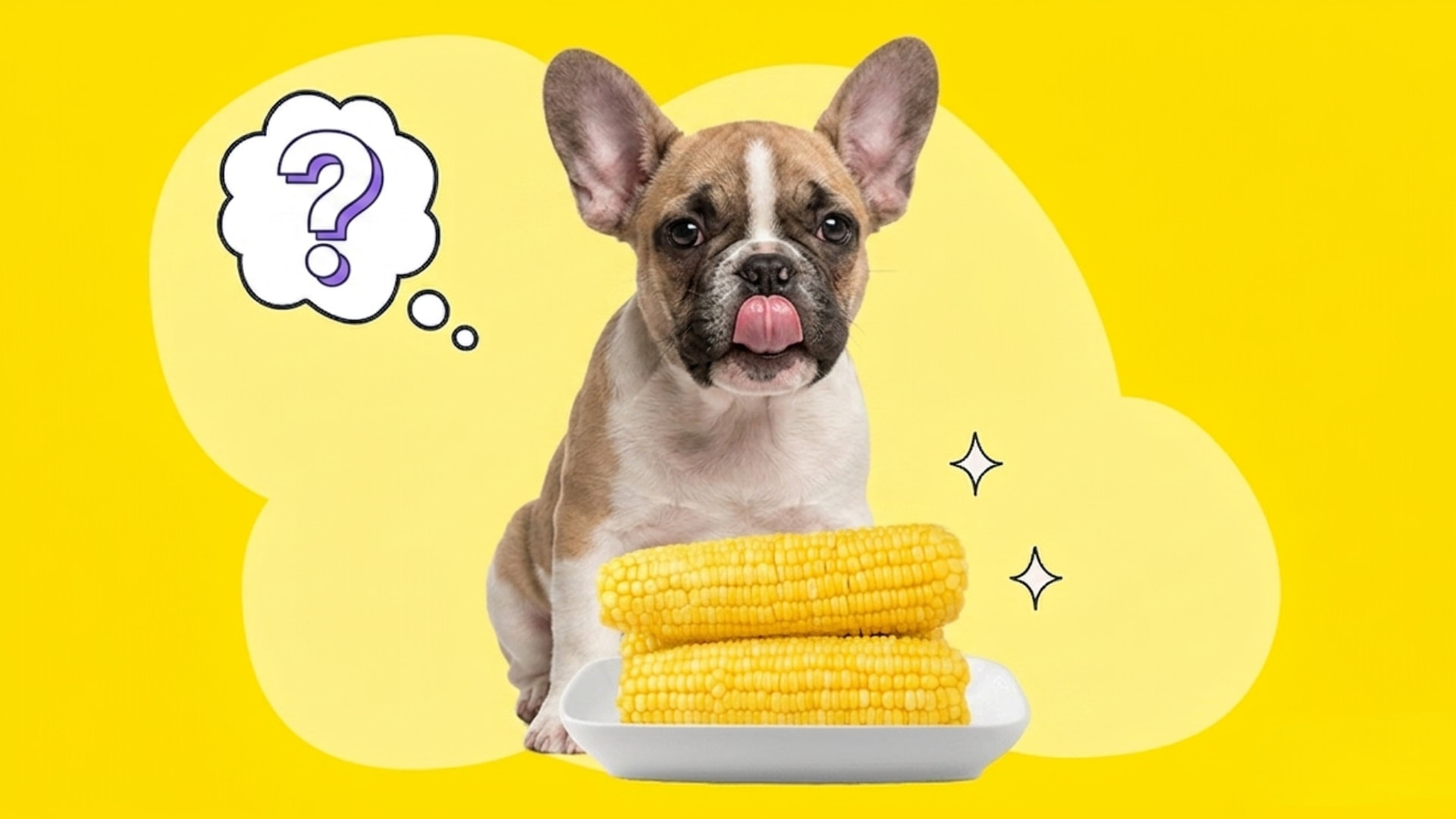 French bulldog puppy licking its nose next to two ears of corn with a question mark thought bubble
