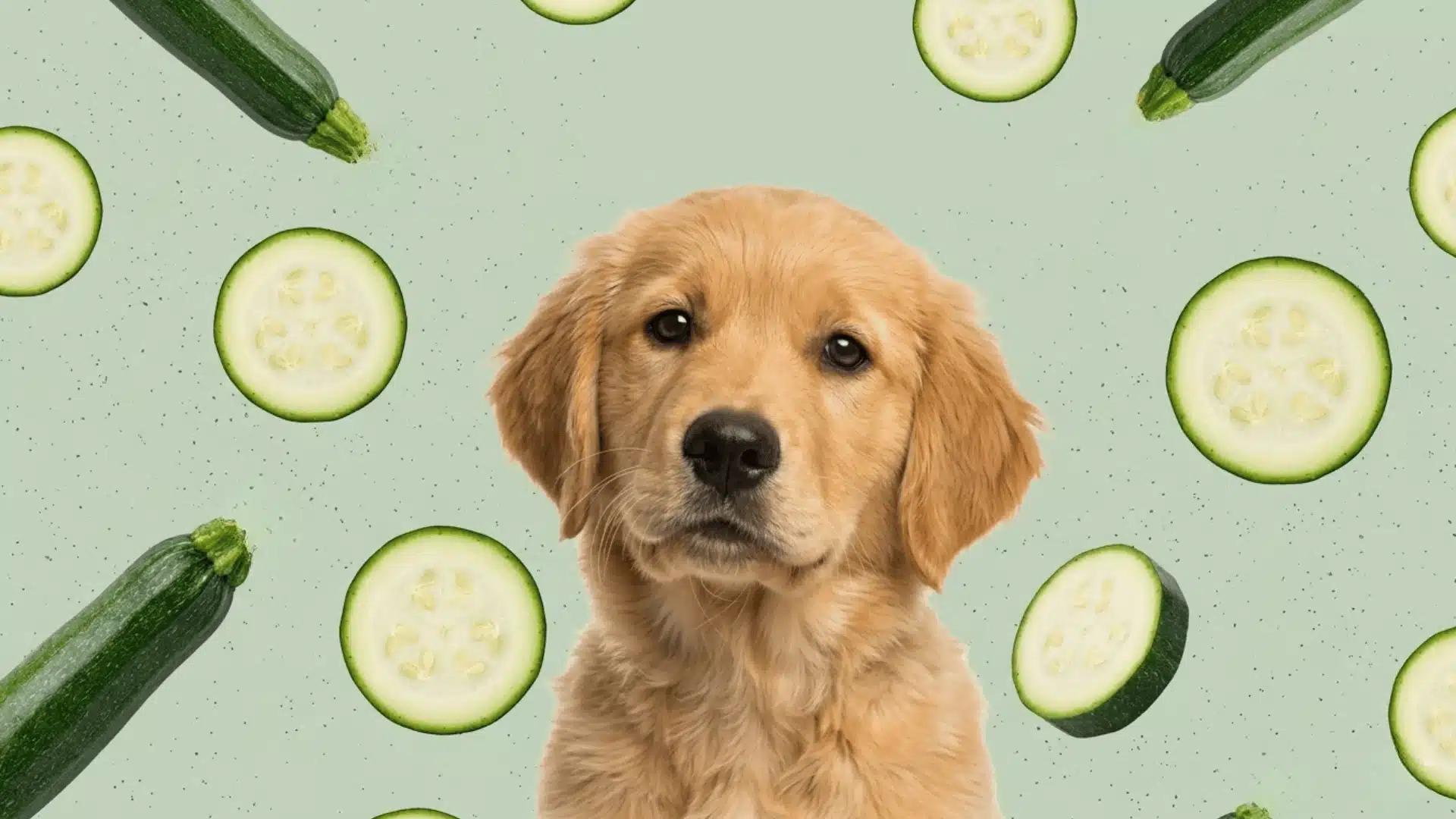 Golden retriever puppy surrounded by zucchini slices on a soft green background