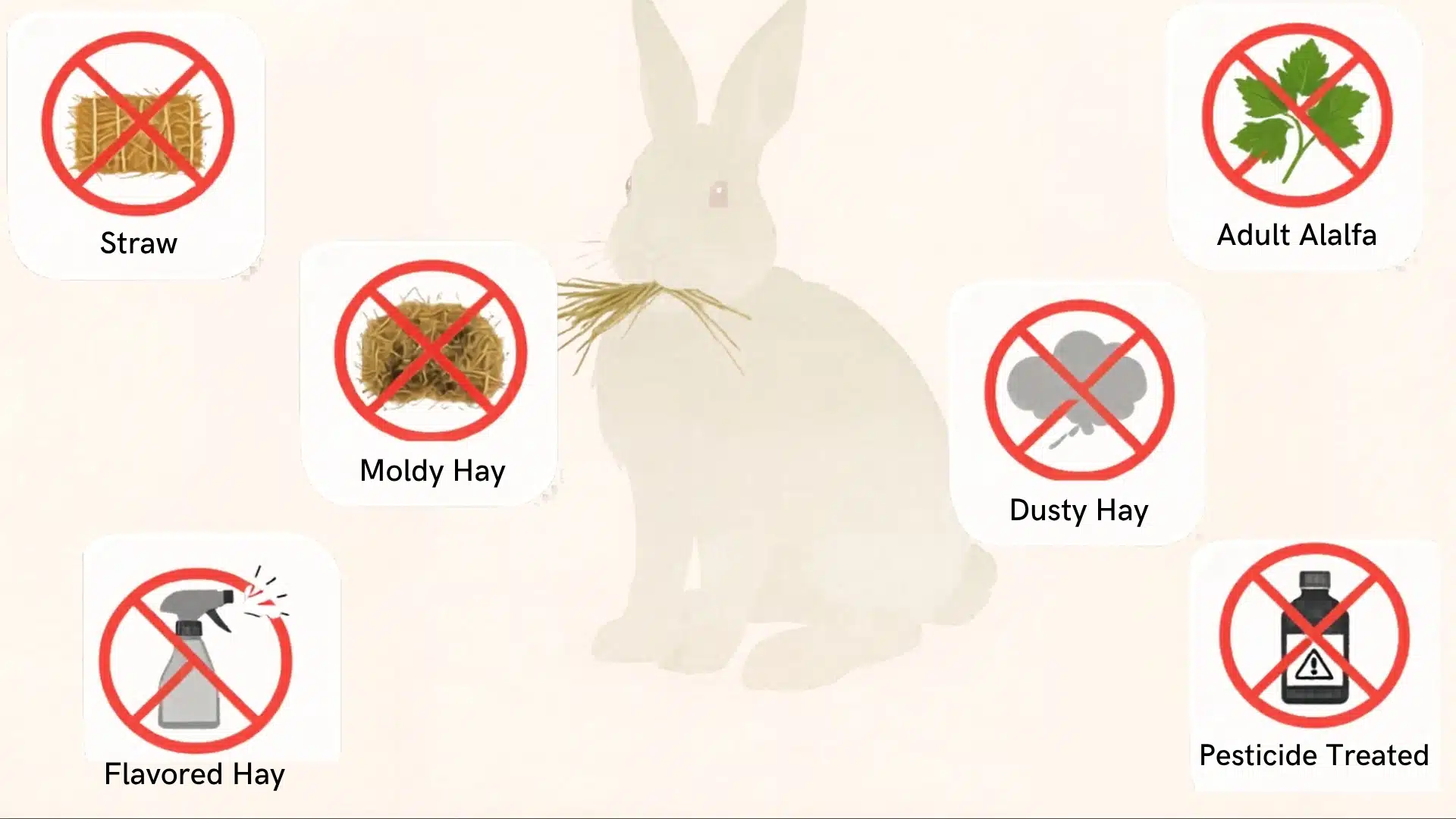Infographic showing unsafe hay types for rabbits, with warning icons and a faint rabbit eating hay in the background