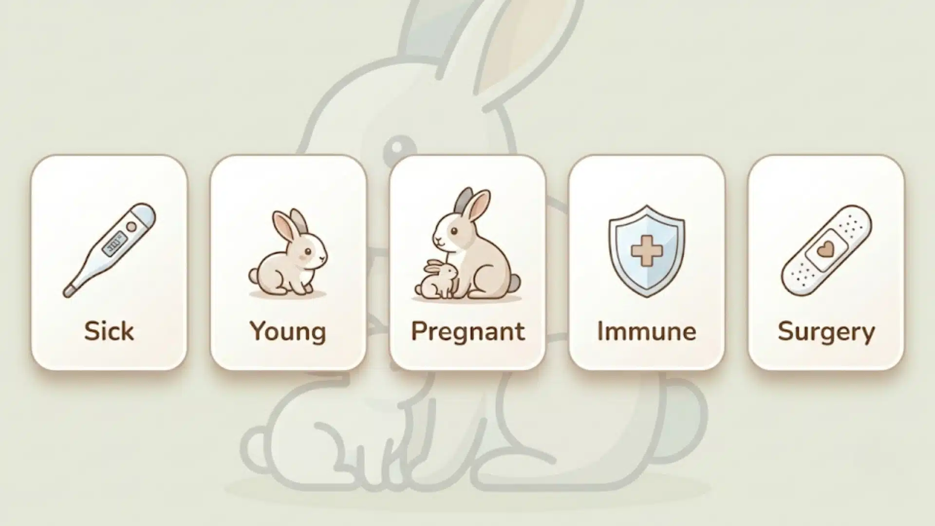 Infographic showing when not to vaccinate a rabbit, with icons for sick, young, pregnant, immune, and surgery