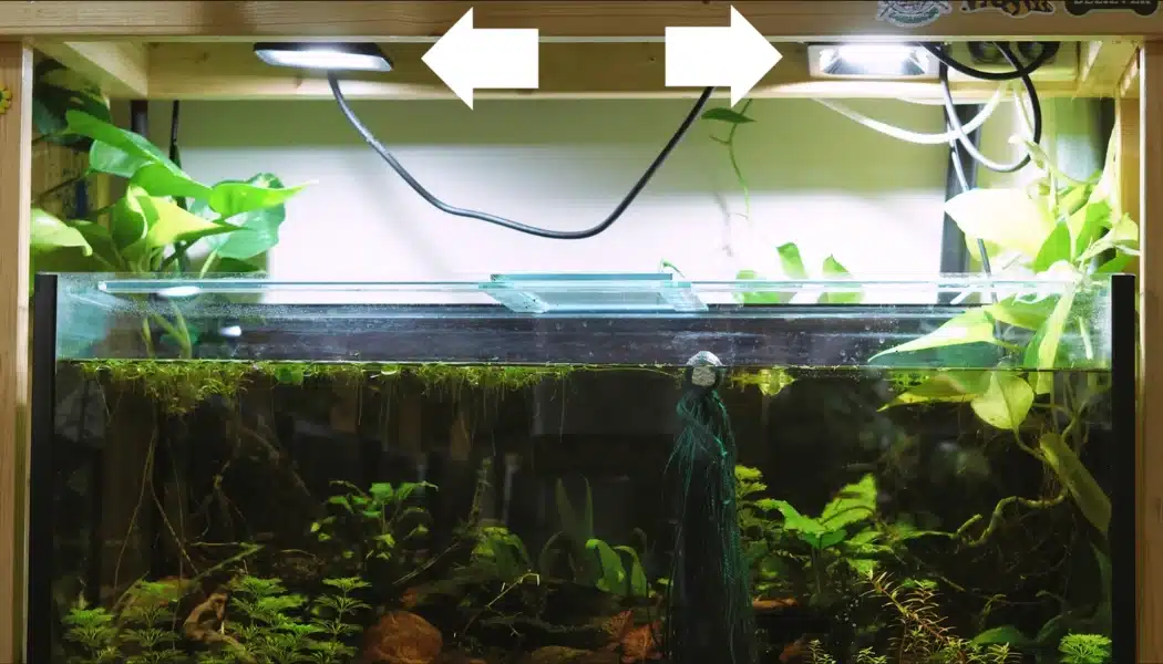 Low tech planted aquarium with LED lights above the tank