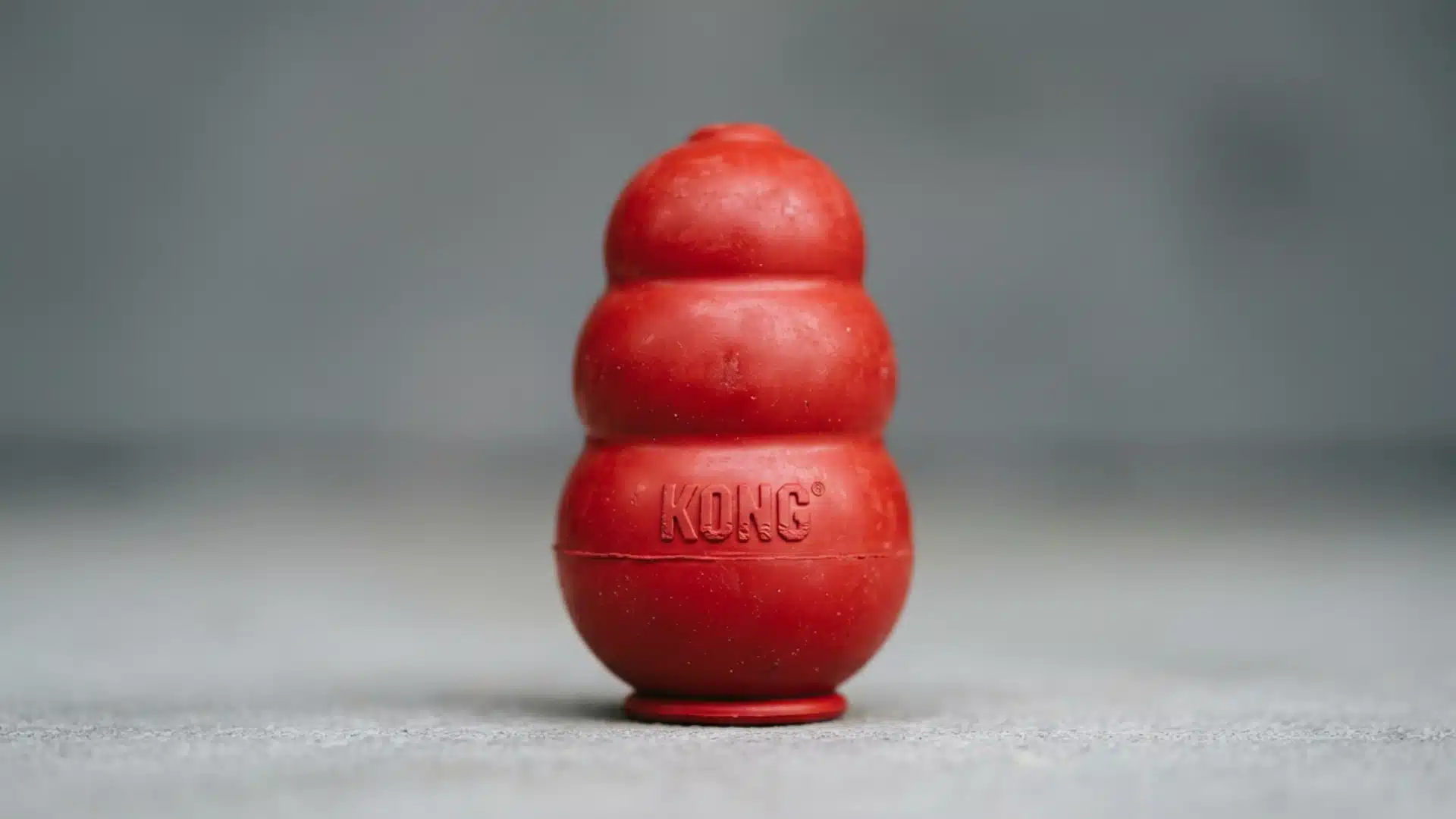 Red KONG dog toy