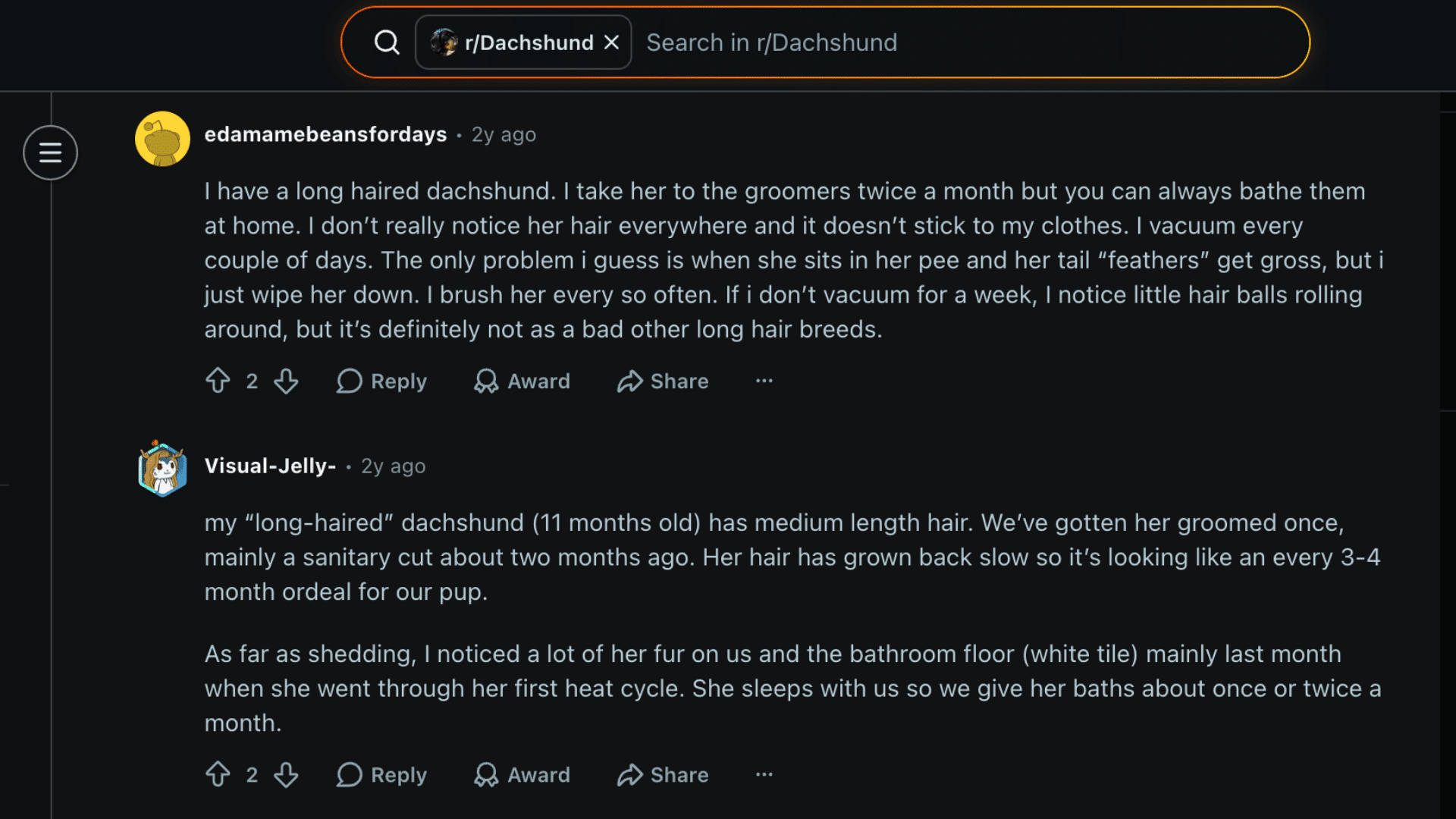 Reddit comments about long haired dachshund shedding and grooming routines from dachshund owners