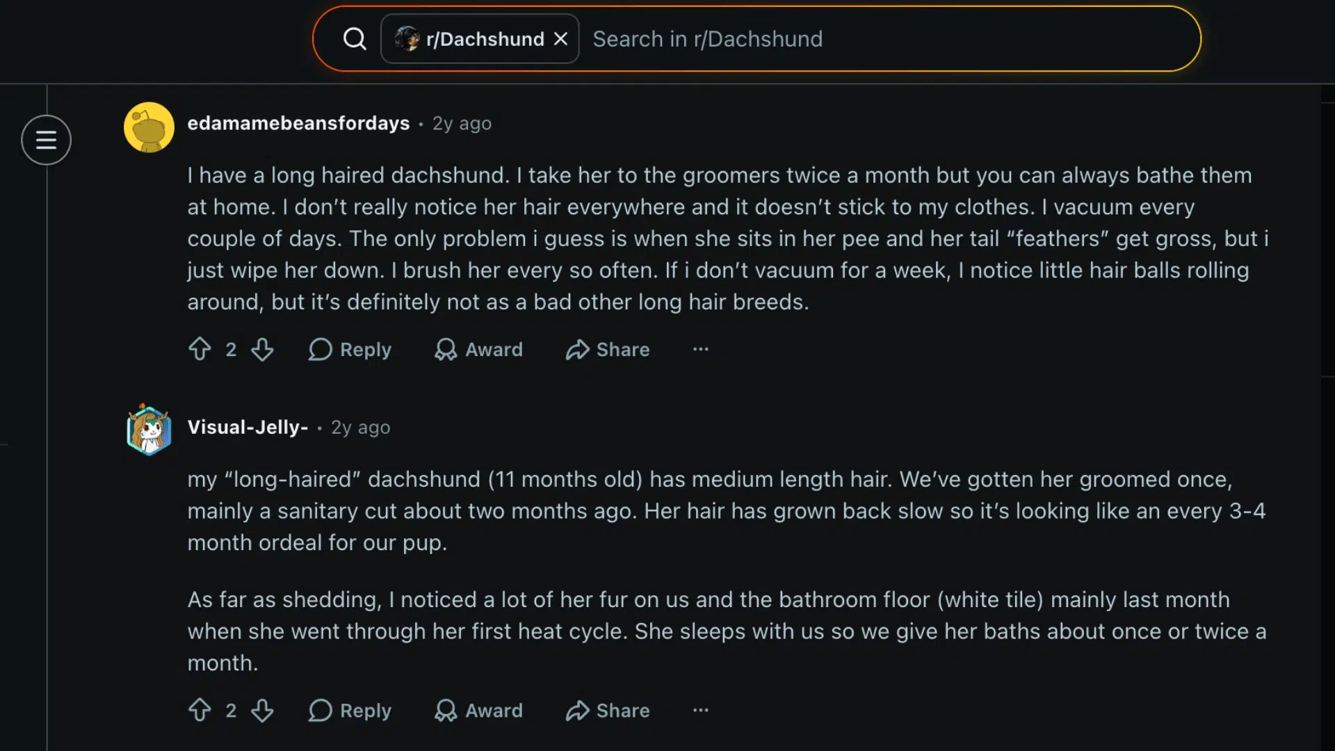Reddit comments about long haired dachshund shedding and grooming routines from dachshund owners
