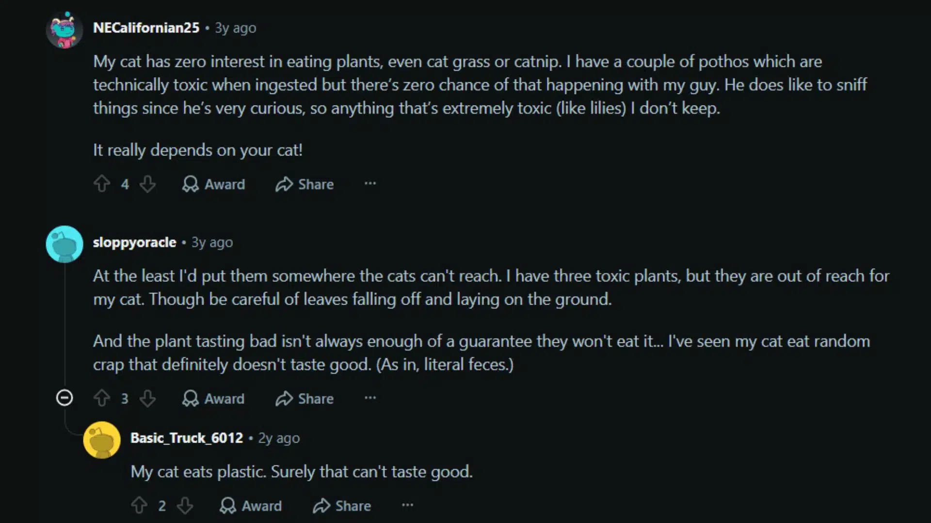 Reddit comments discussing whether toxic houseplants are safe around cats