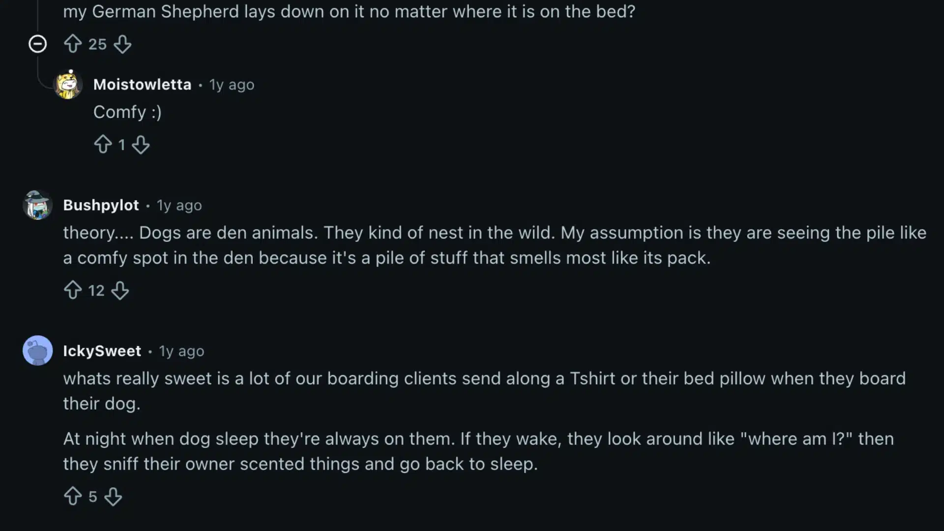 Reddit comments discussing why dogs lay on clothes, with owners linking the habit to scent, comfort, nesting, and security