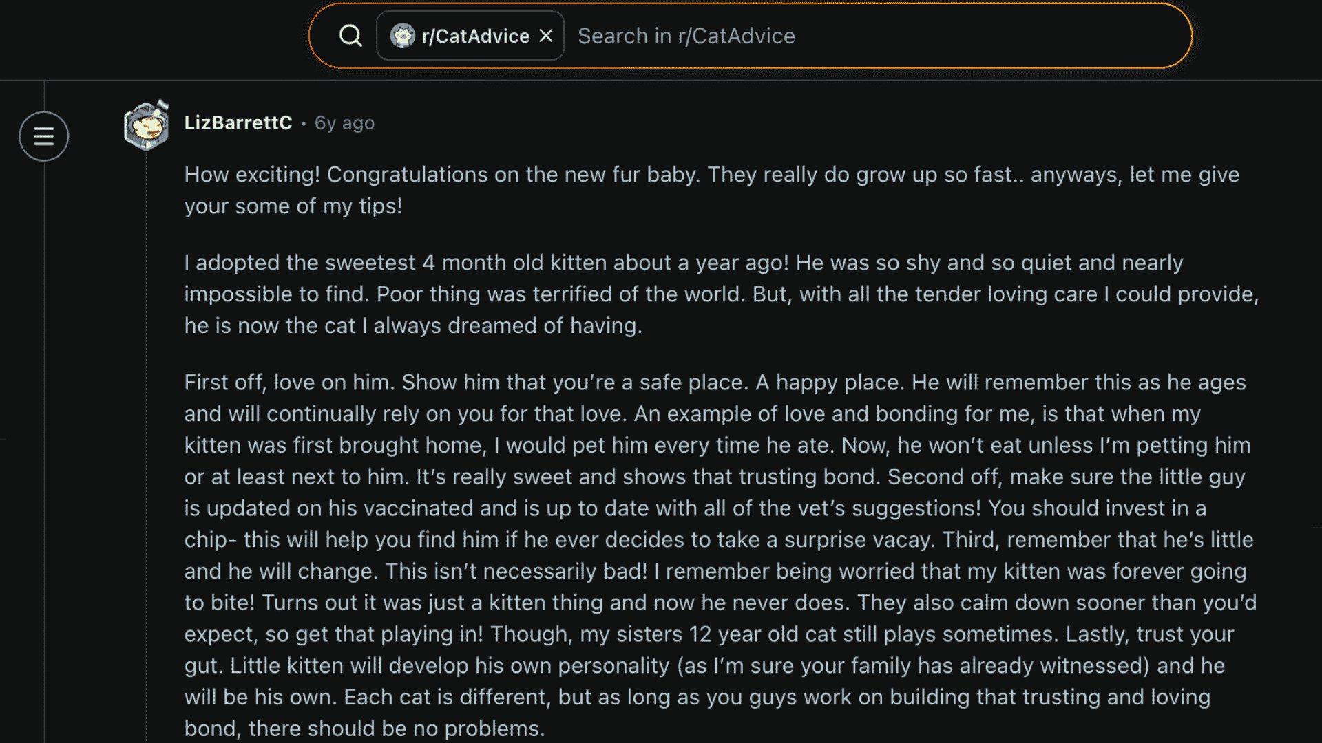 Reddit rCatAdvice post sharing kitten care tips, bonding advice, vet care, and play recommendations for new owners