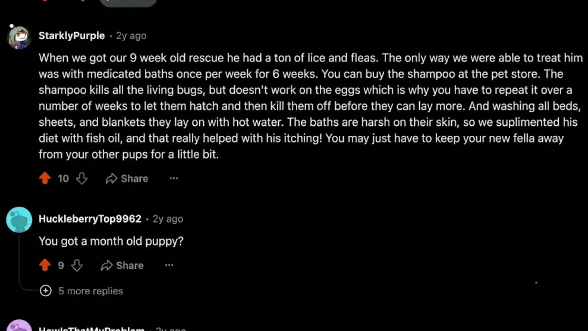 Reddit thread about dog care and a user asking about a puppy