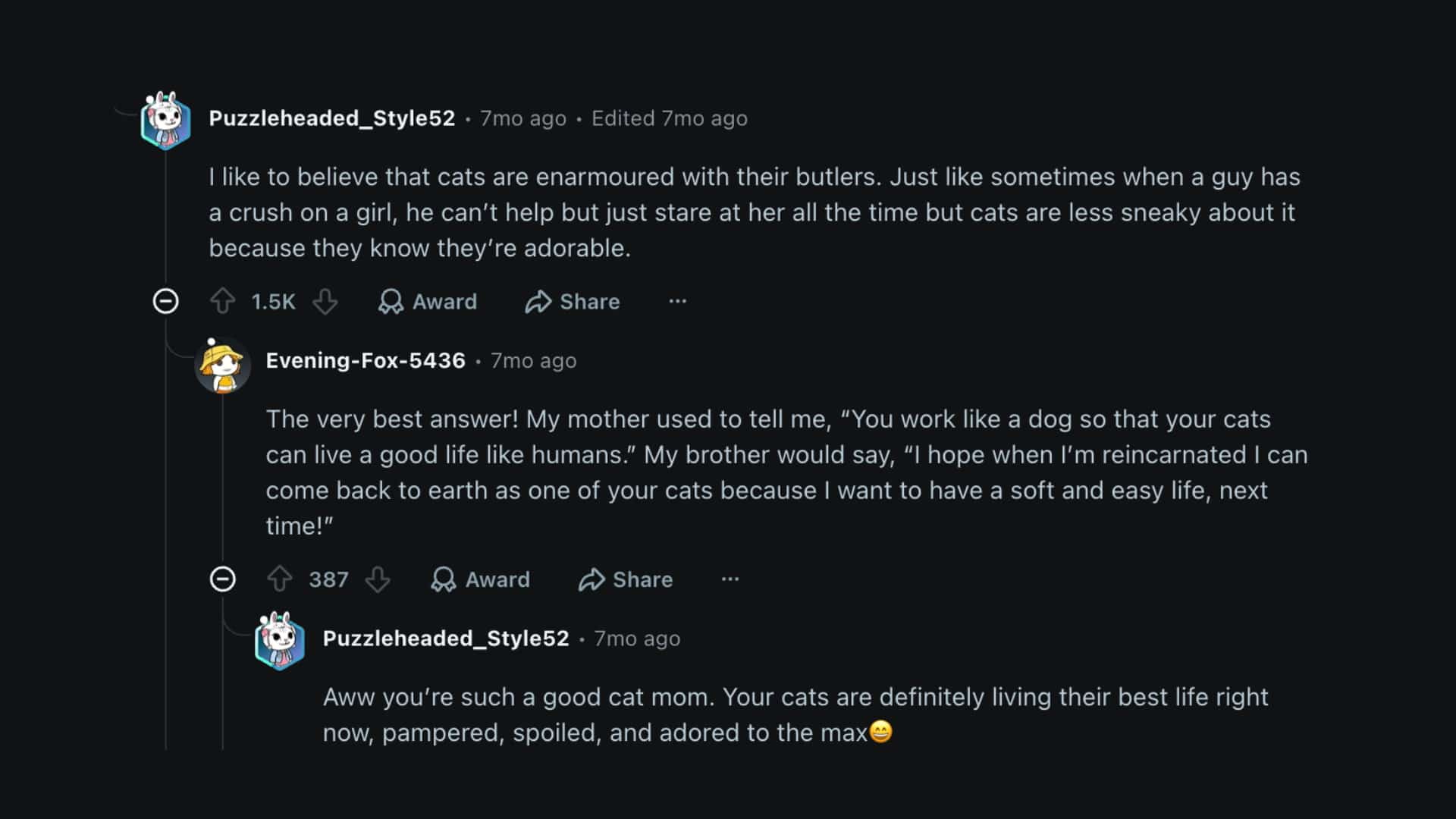 Reddit thread discussing why cat stare and how they are pampered, loved, and live a soft, easy life