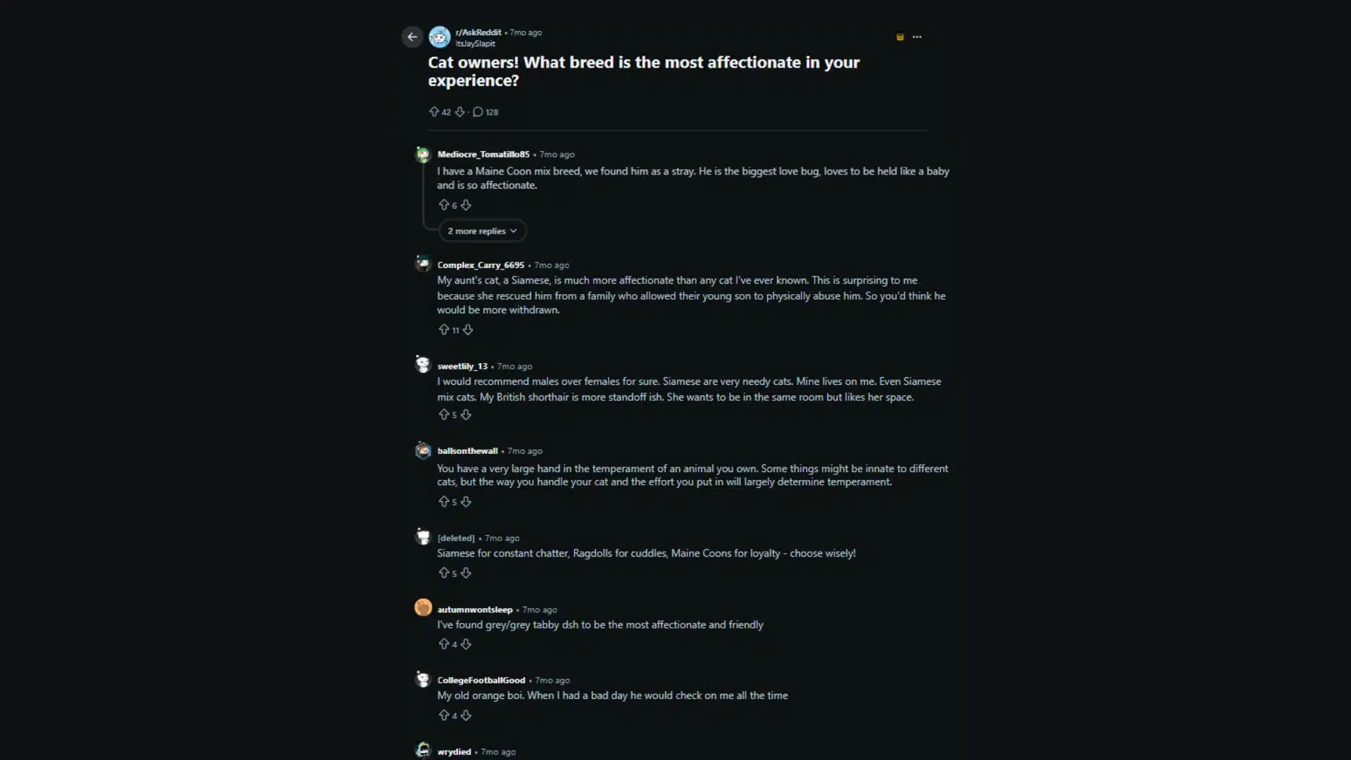 Reddit thread on affectionate cat breeds with comments about different breeds
