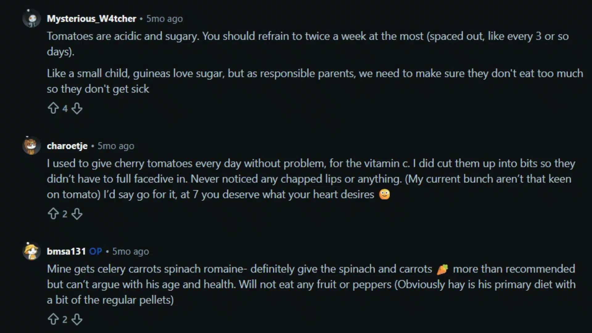 Reddit comments debating how often guinea pigs can safely eat tomatoes.