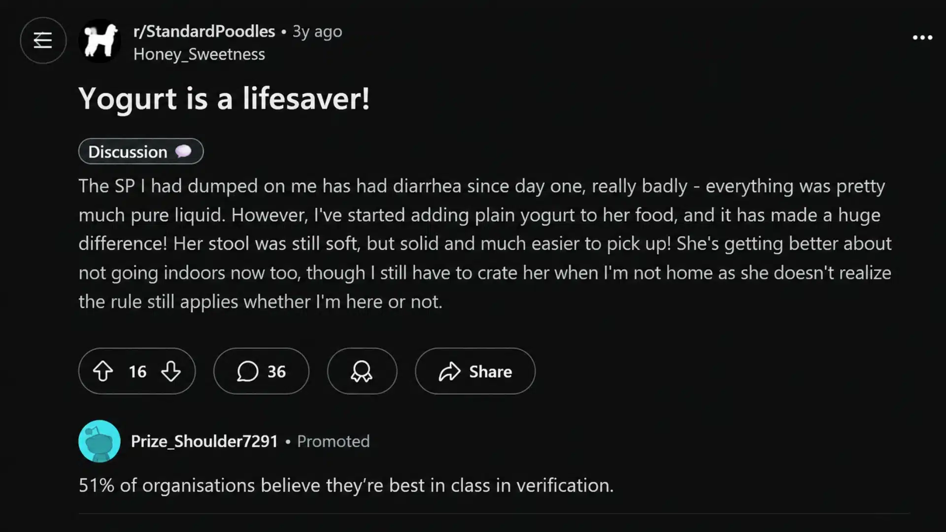 Reddit post about yogurt helping a standard poodle puppy with diarrhea and house training progress.
