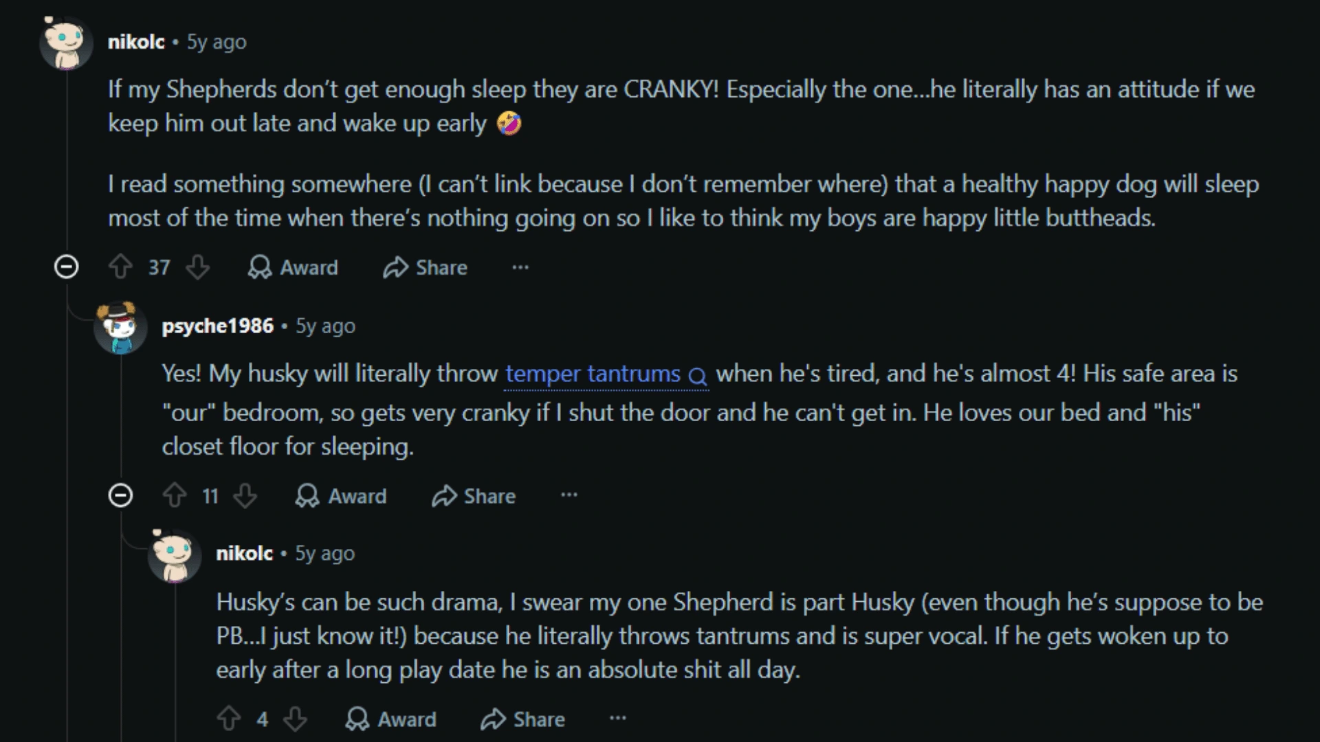 Reddit thread discussing dogs becoming cranky or throwing tantrums when tired or sleep-deprived