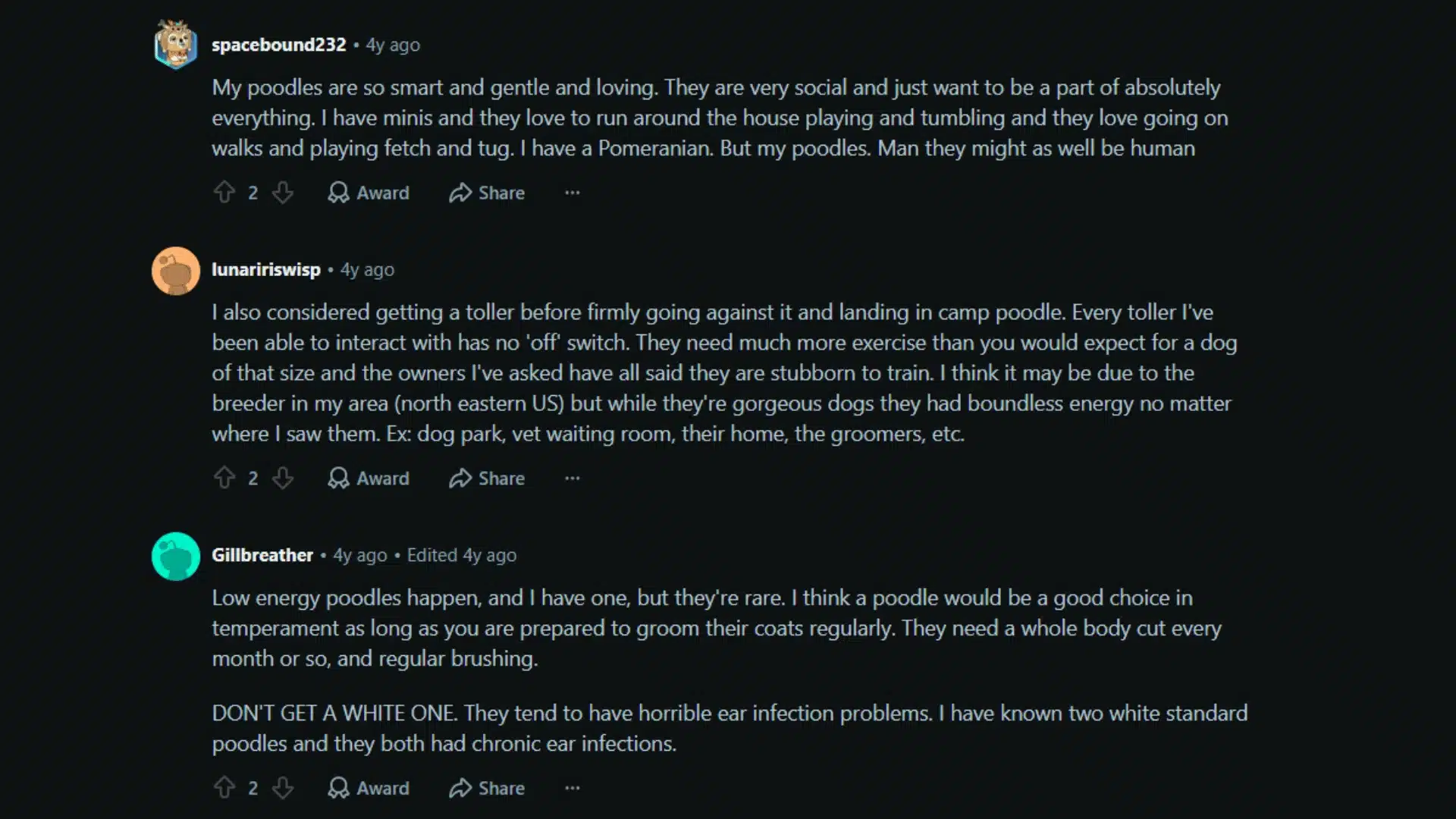Screenshot of Reddit comments discussing poodles as smart, social, and high-energy dogs