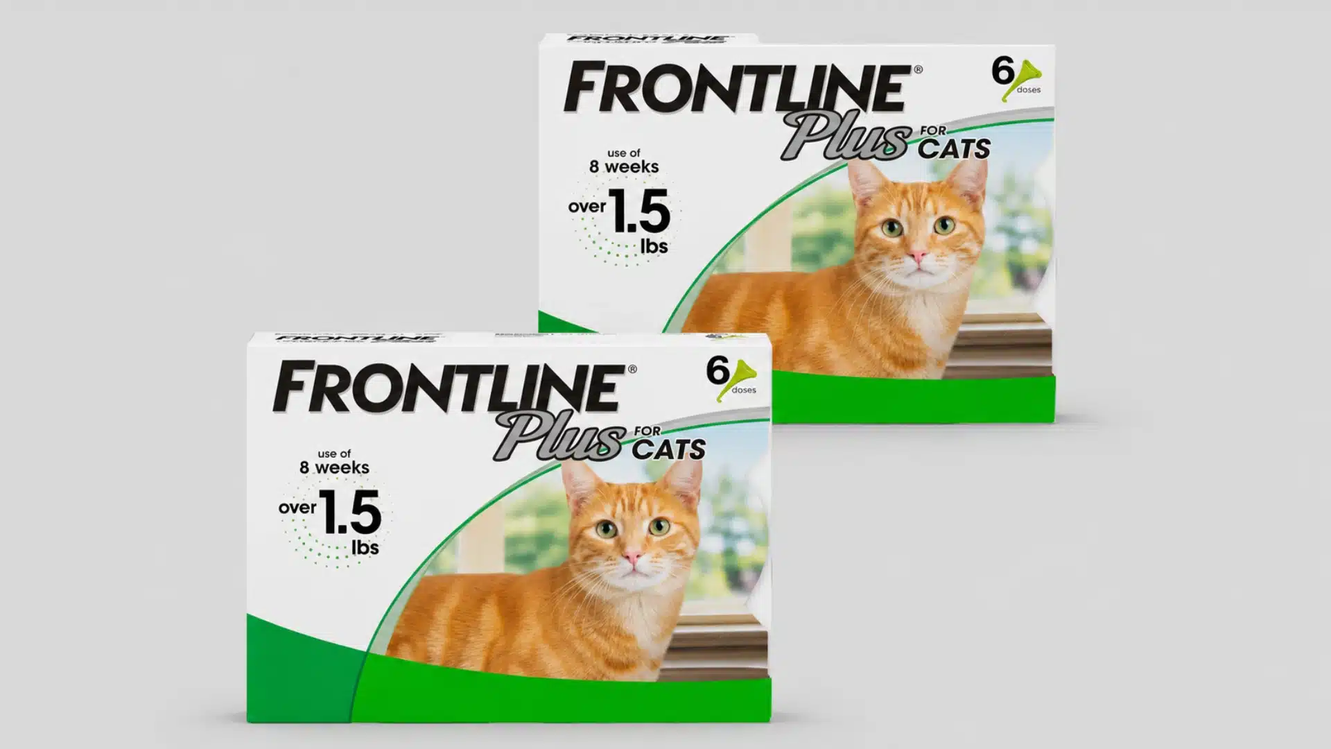 Two boxes of Frontline Plus flea and tick treatment for cats over 1.5 lbs, featuring an orange tabby cat