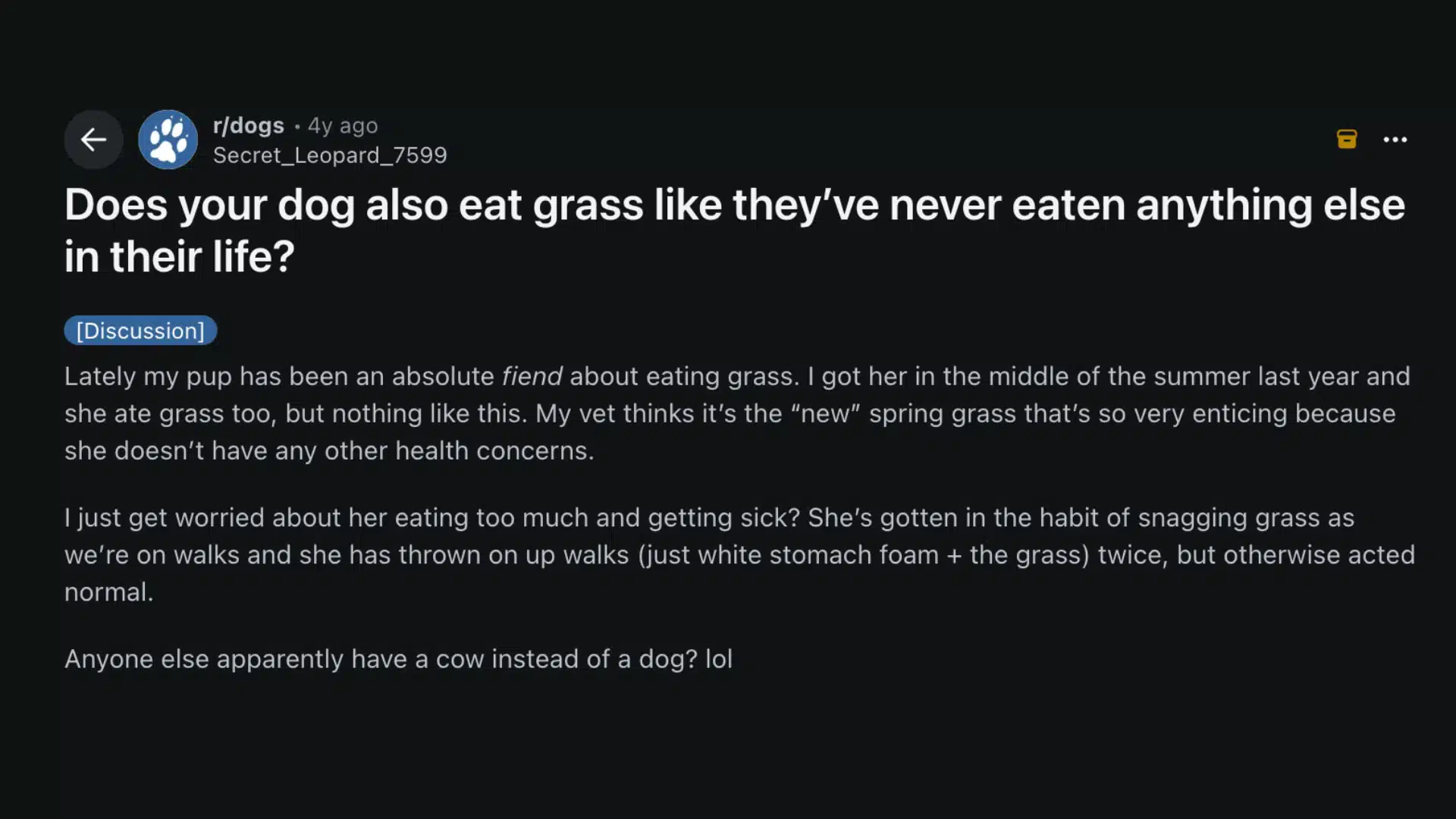 A screenshot of a Reddit post in rdogs asking if other dogs eat grass obsessively, comparing their pup to a cow