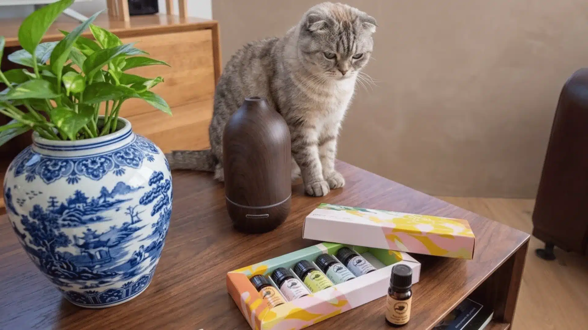 Cat beside an essential oil diffuser and bottles on a table