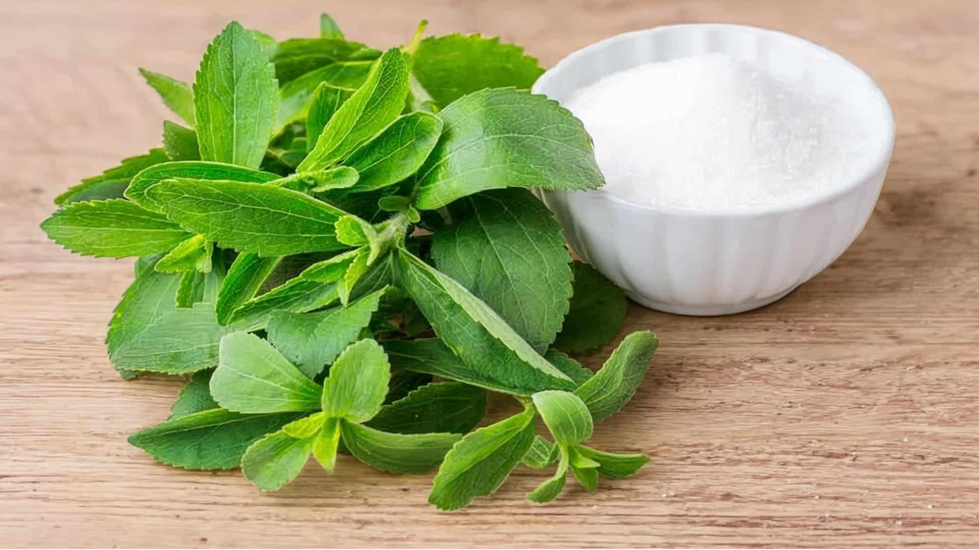 Fresh green stevia leaves next to a white bowl of powdered stevia sweetener on a wooden tabletop