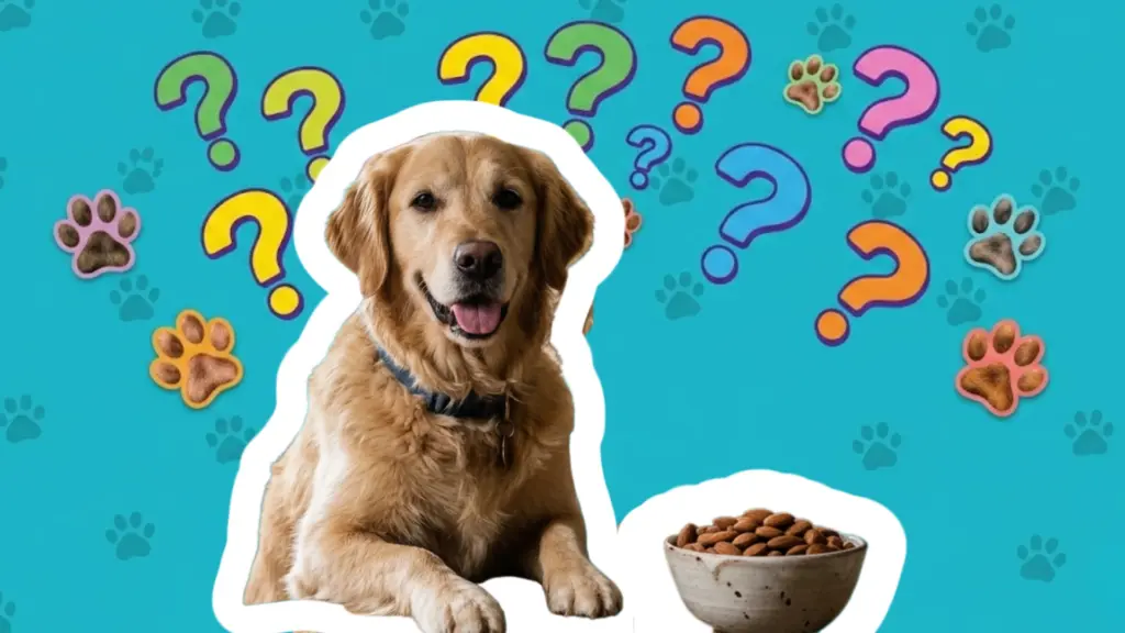 golden retriever charlie happily poses with bowl of almond in a cozy home
