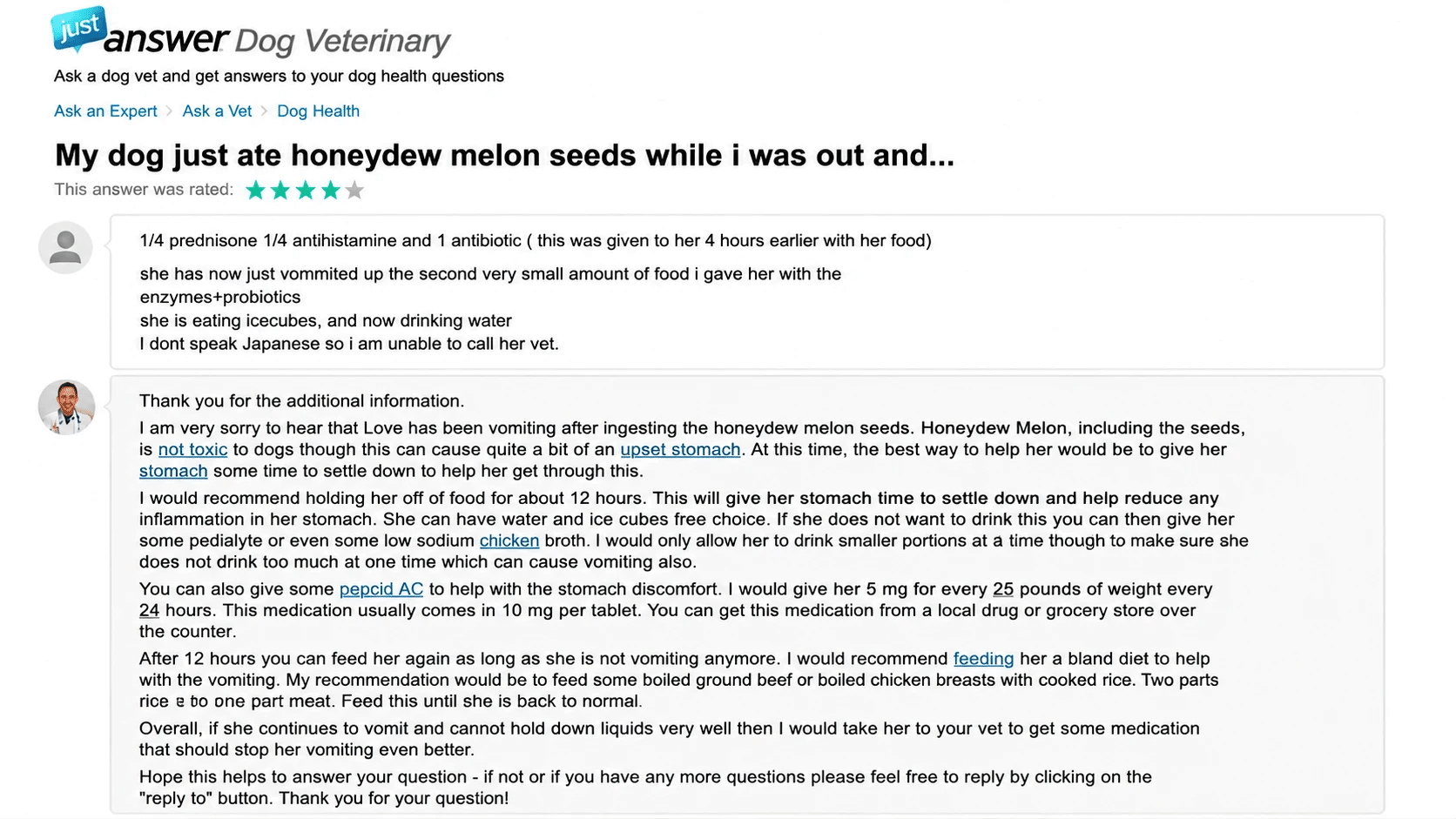 justanswer dog veterinary q&a showing vet advice about dog vomiting after eating honeydew melon seeds