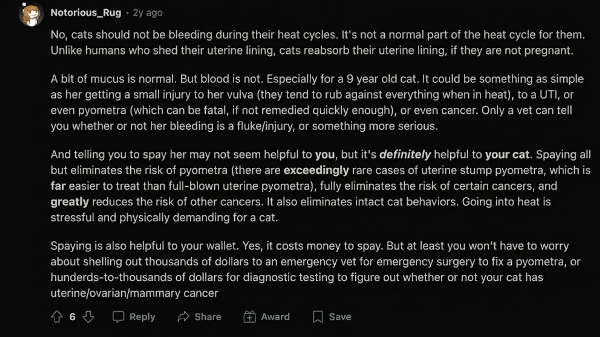 Reddit comment explaining cats should not bleed during heat cycles and need vet care