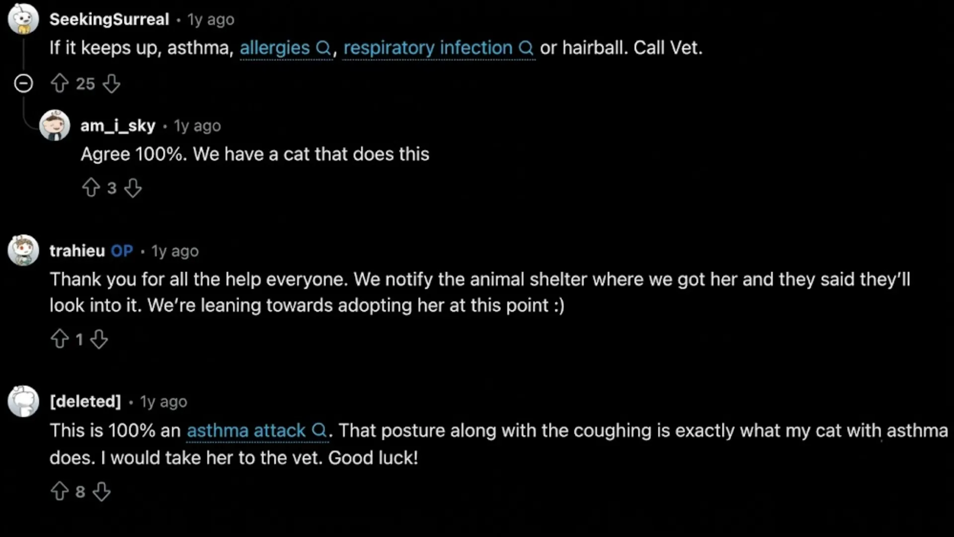 Reddit comments suggesting cat coughing without a hairball may indicate asthma, allergies, or a respiratory infection
