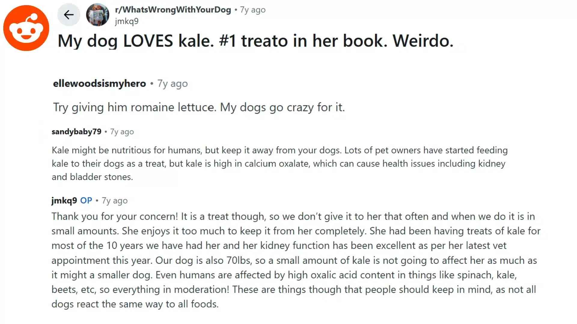 reddit discussion about a dog owner sharing experiences with feeding kale as a treat for dogs and health concerns about it