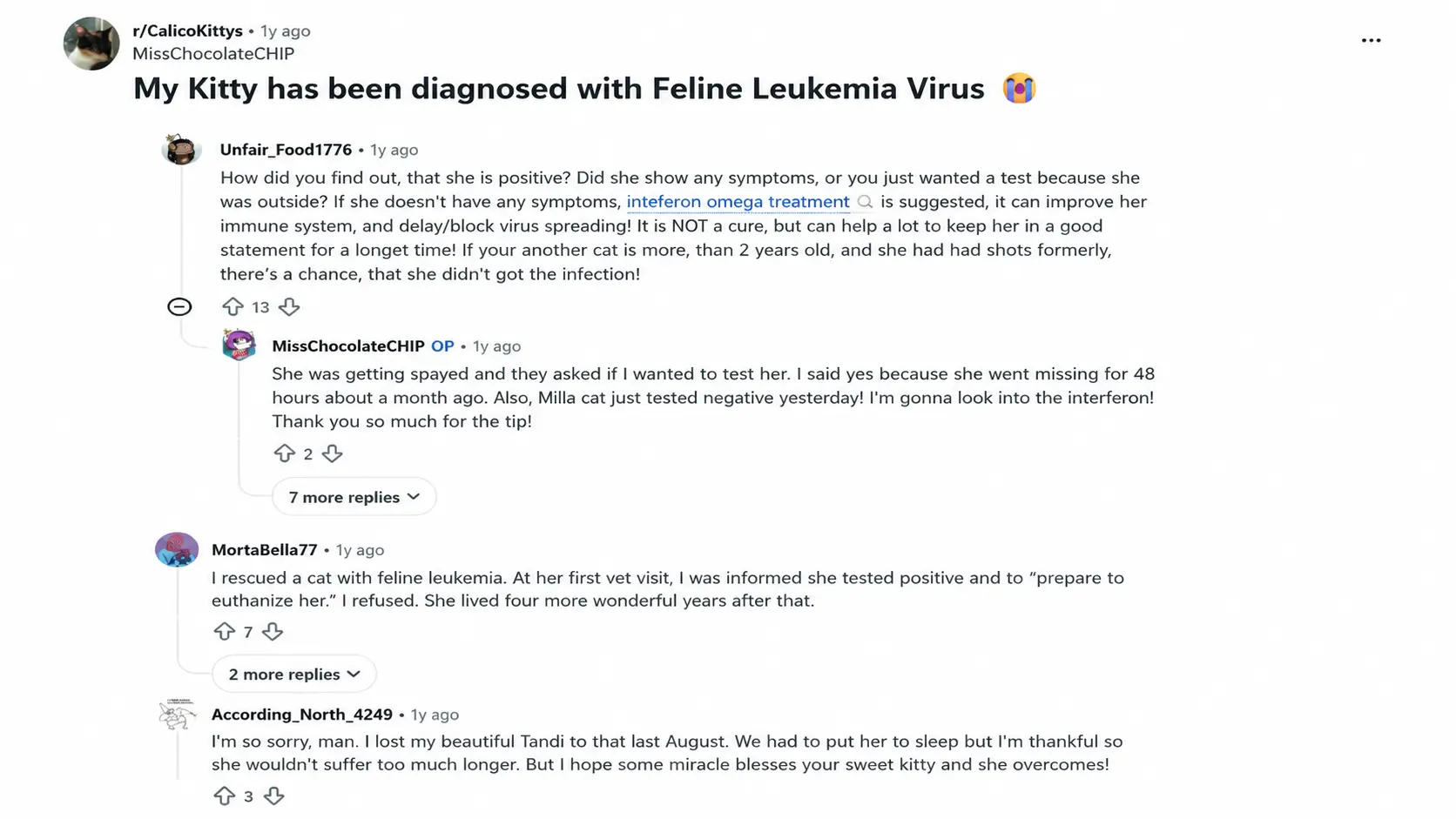 reddit discussion about cat diagnosed with feline leukemia virus and owners sharing support advice and experiences