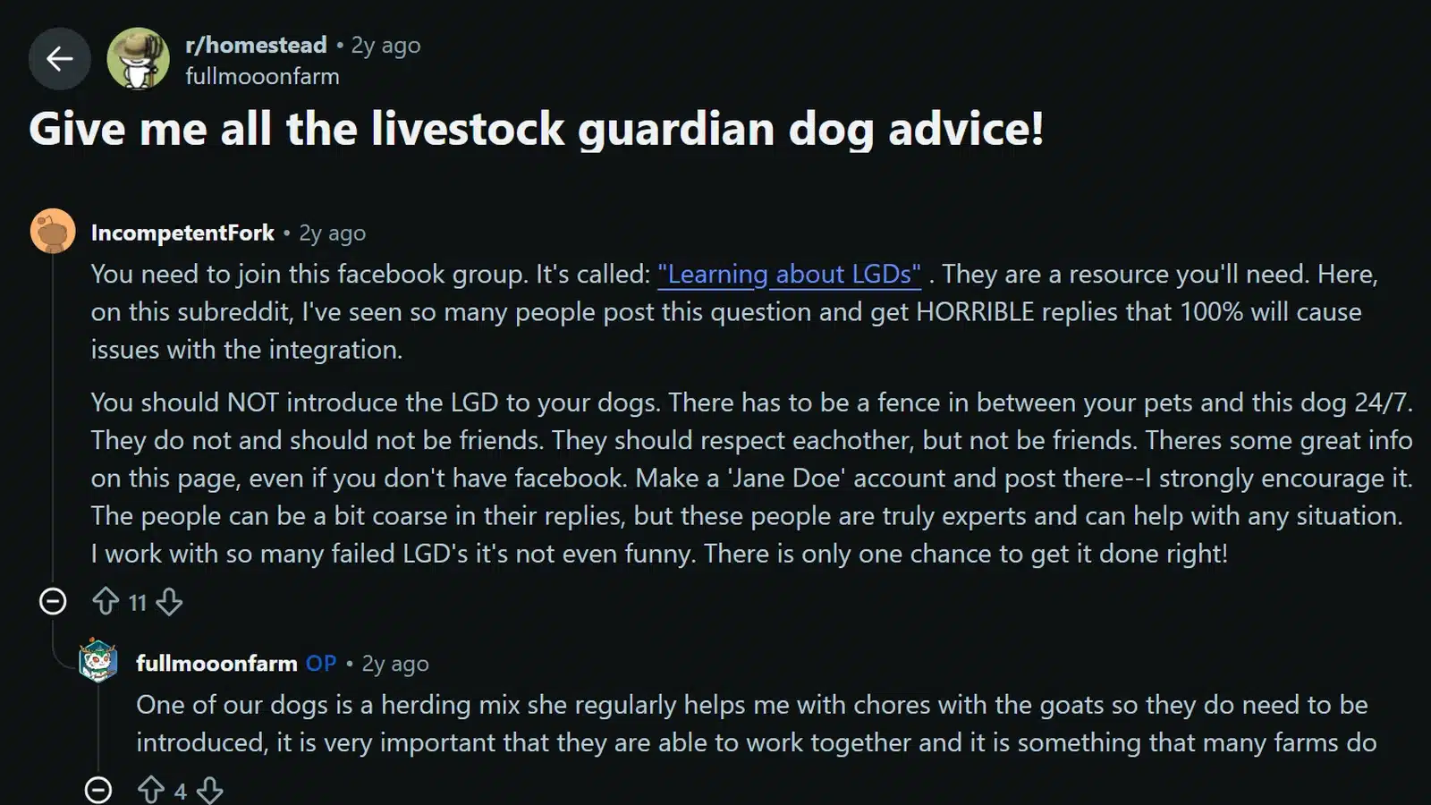 reddit discussion about livestock guardian dog advice and safe dog introductions on a homestead