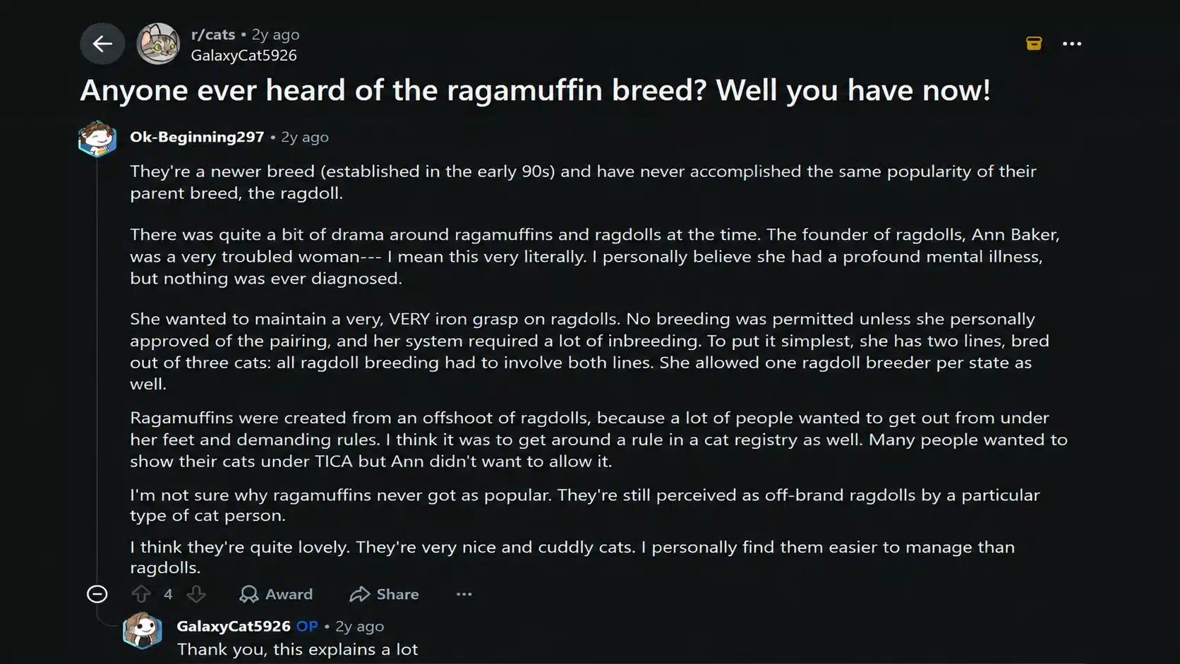 reddit discussion about ragamuffin cats covering breed history, origin, and owner experiences in a dark mode thread layout.