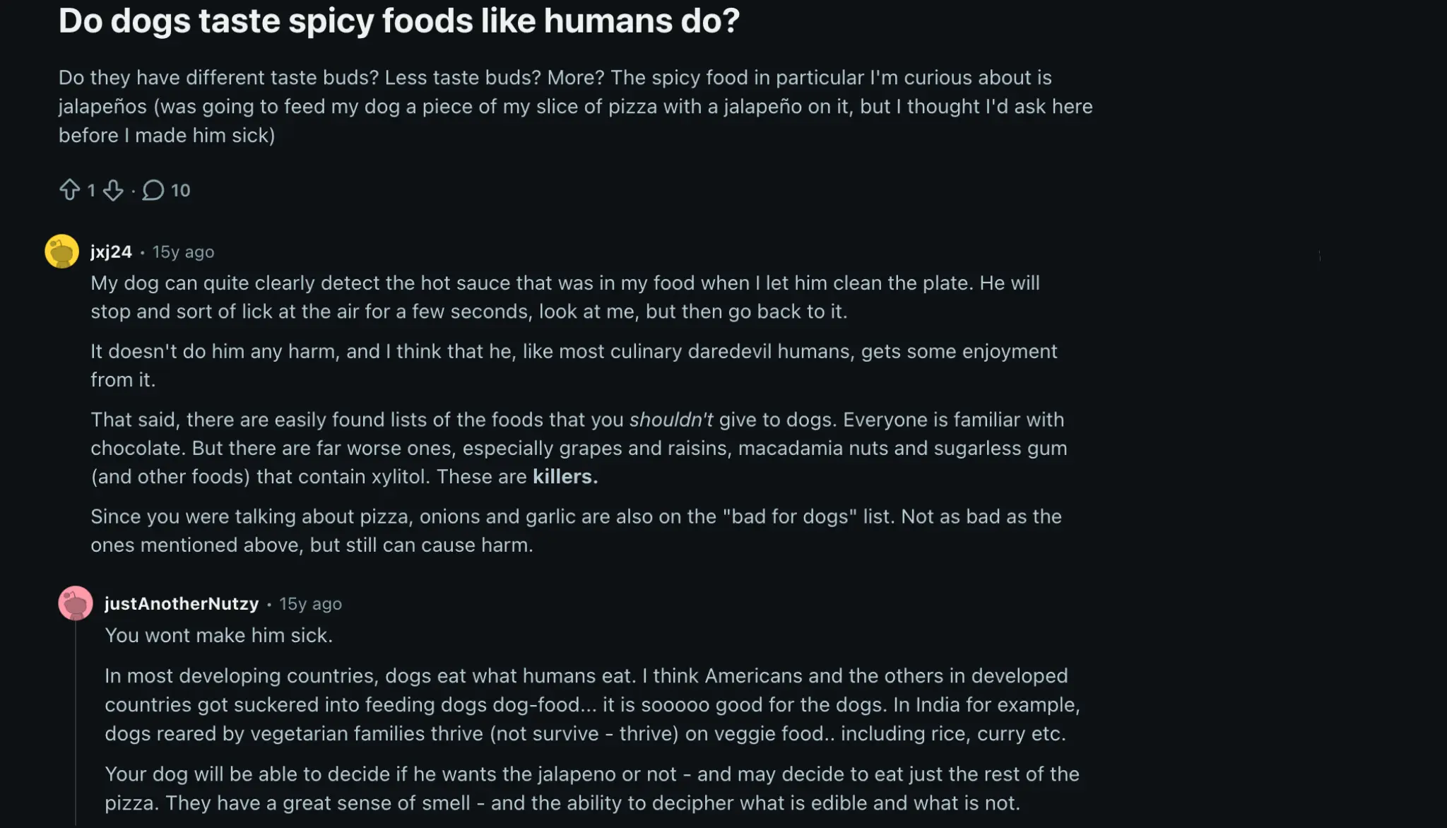 reddit discussion among dog owners if dogs taste spicy like humans do