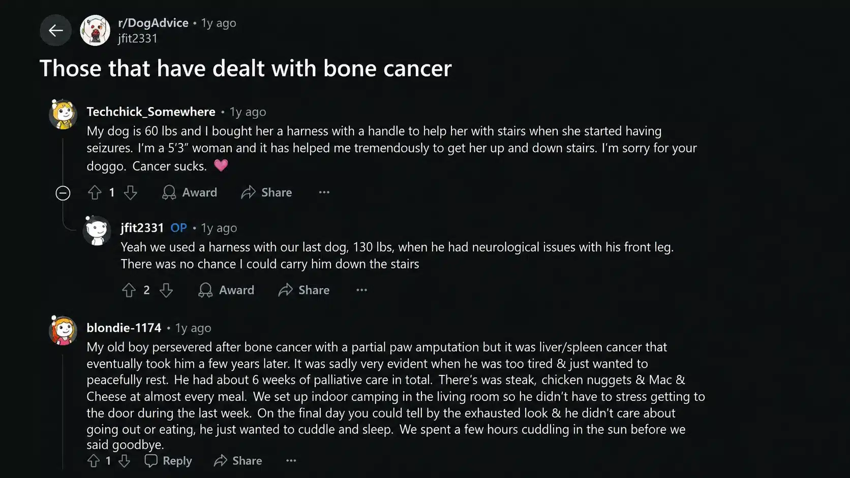 reddit discussion screenshot sharing dog owners experiences with bone cancer and pet care challenges