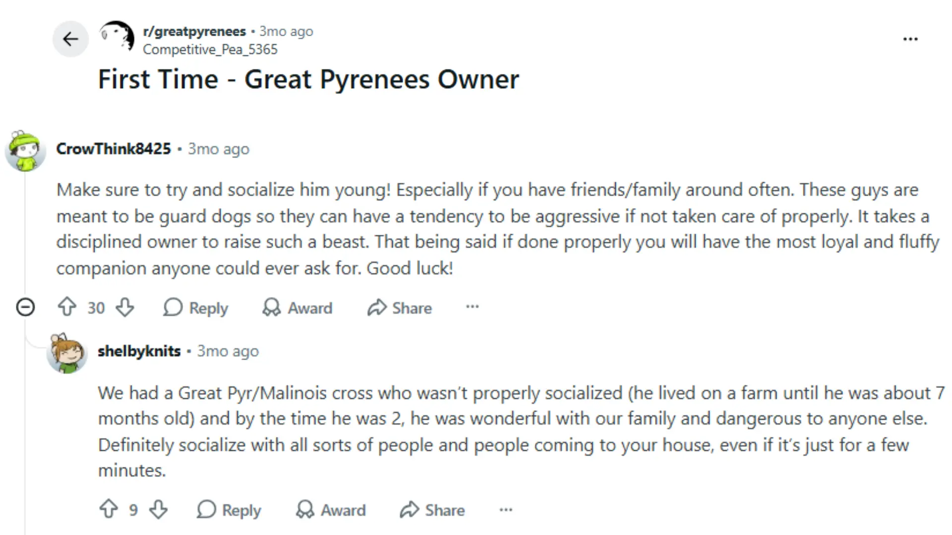 reddit discussion showing great pyrenees owners sharing socialization training and grooming experiences