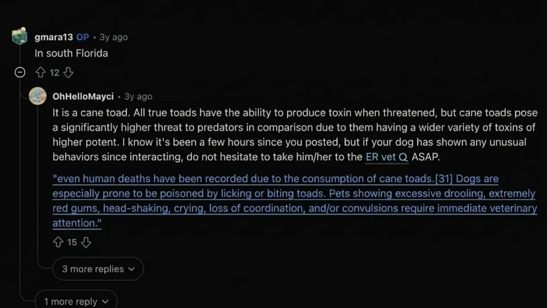 Reddit discussion warning that a cane toad may poison dogs and advising immediate veterinary care