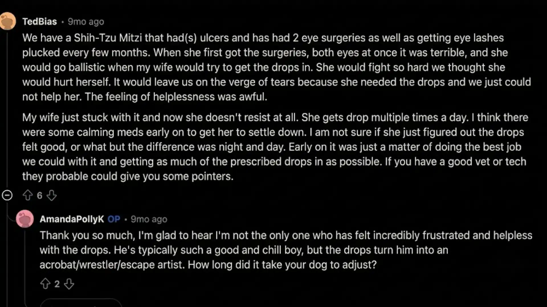 Reddit thread about Shih Tzu corneal ulcers and struggles giving eye drops during treatment