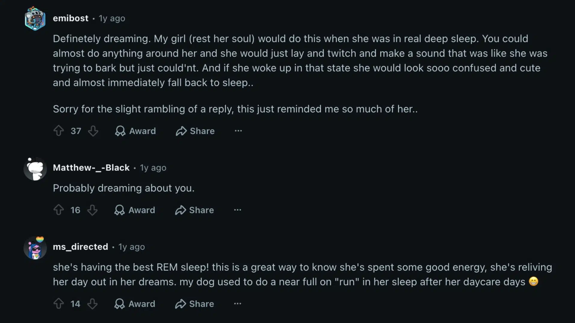Reddit comments discussing dogs twitching in sleep and dreaming with owner experiences